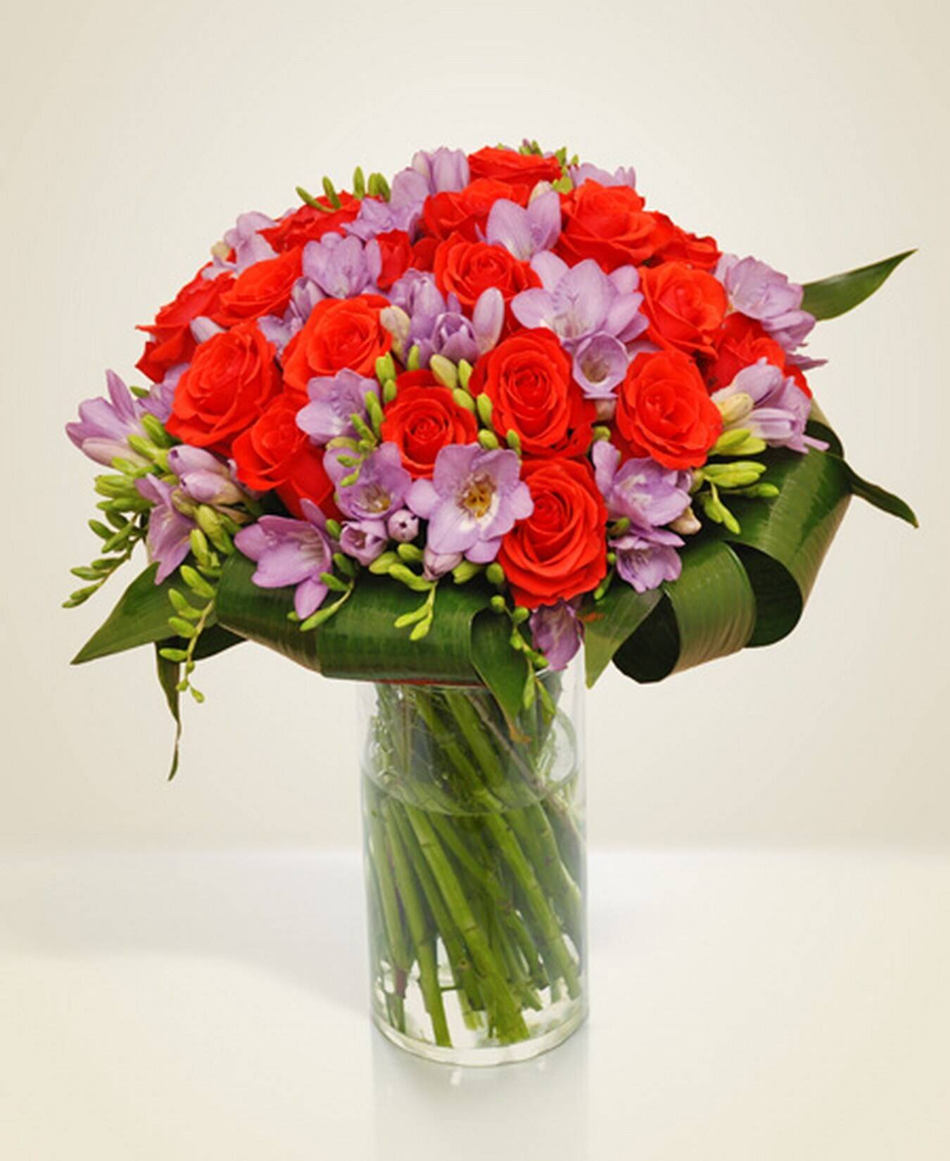 Blume, Blumen-Arrangement, Blumenstrauß, Florales Design, Rose, Blume, Blumen-Arrangement, Blumenstrauß, Florales Design, Rose, Blume, Blumen-Arrangement, Blumenstrauß, Florales Design, Rose, blumenstrauß, blumen, rose, rot, lila