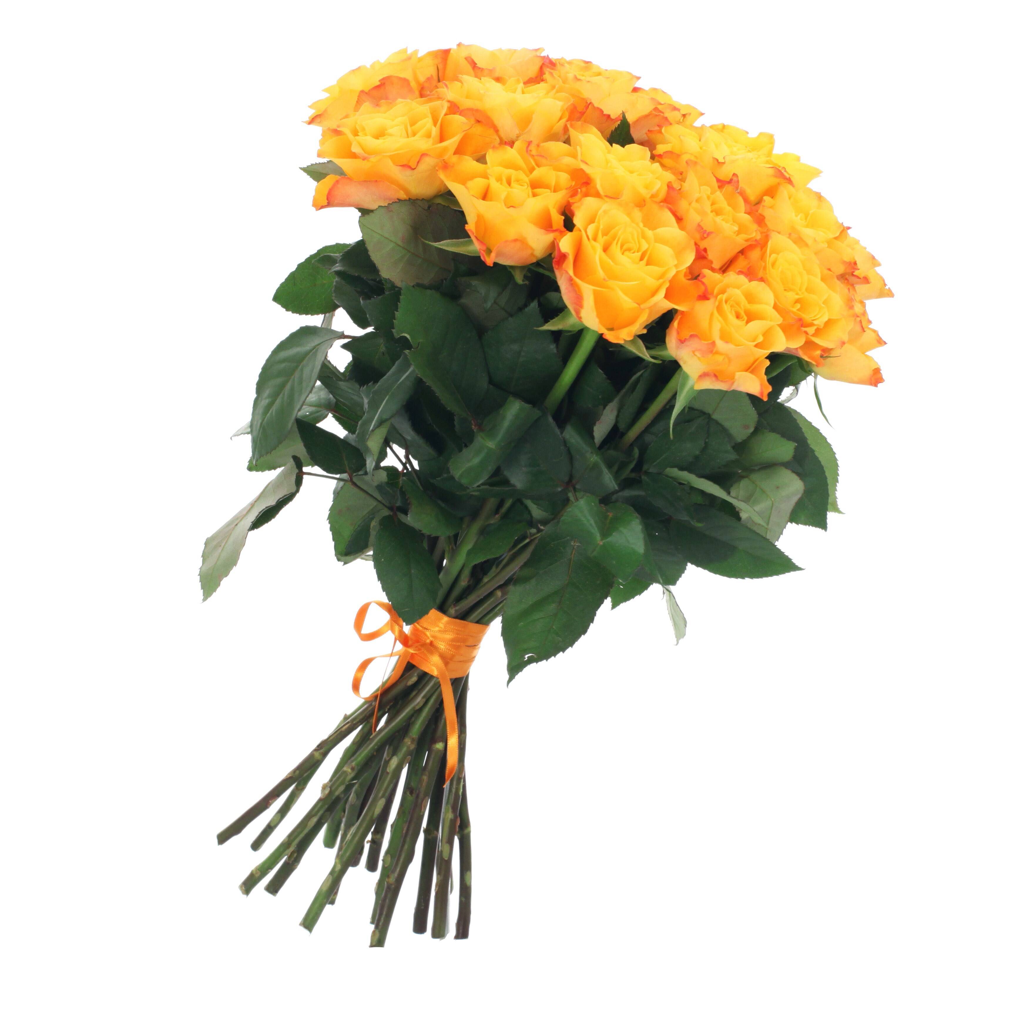 Blume, Blumen-Arrangement, Blumenstrauß, Rose, Florales Design, Blume, Blumen-Arrangement, Blumenstrauß, Rose, Florales Design, Blume, Blumen-Arrangement, Blumenstrauß, Rose, Florales Design, Blume, Bouquet, Rosen, Orange, Stiele