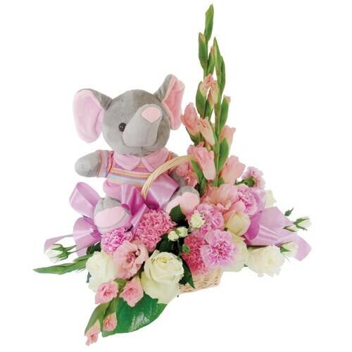 Blume, Blumen-Arrangement, Pflanze, Blumenstrauß, Blume, Blumen-Arrangement, Pflanze, Blumenstrauß, Blume, Blumen-Arrangement, Pflanze, Blumenstrauß, Blume, Blumen-Arrangement, Pflanze, Blumenstrauß, Blume, Blumen-Arrangement, Pflanze, Blumenstrauß