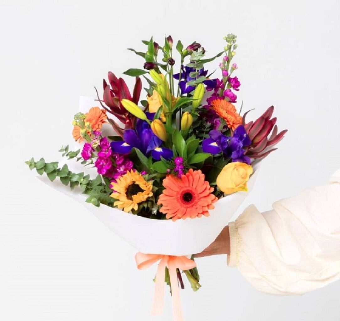 Blume, Blumen-Arrangement, Blumenstrauß, Pflanze, Blume, Blumen-Arrangement, Blumenstrauß, Pflanze, Blume, Blumen-Arrangement, Blumenstrauß, Pflanze, Blume, Blumen-Arrangement, Blumenstrauß, Pflanze, Blume, Blumen-Arrangement, Blumenstrauß, Pflanze