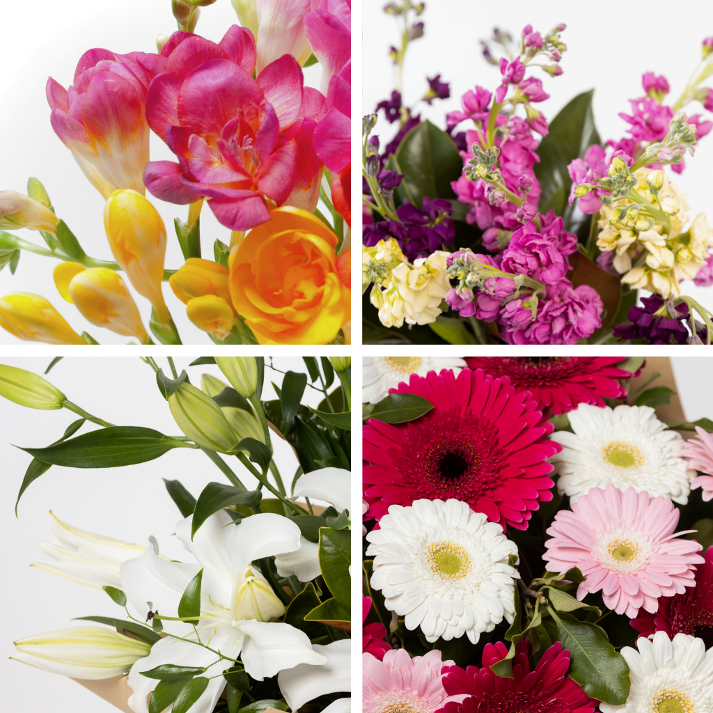 Blume, Blumen-Arrangement, Blumenstrauß, Blütenblatt, Gänseblümchen, Blume, Blumen-Arrangement, Blumenstrauß, Blütenblatt, Gänseblümchen, Blume, Blumen-Arrangement, Blumenstrauß, Blütenblatt, Gänseblümchen