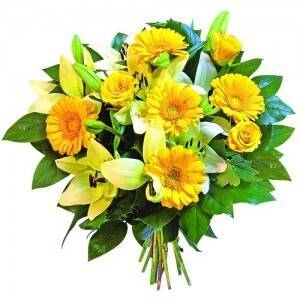 Blume, Blumen-Arrangement, Blumenstrauß, Pflanze, Blume, Blumen-Arrangement, Blumenstrauß, Pflanze, Blume, Blumen-Arrangement, Blumenstrauß, Pflanze, Blume, Blumen-Arrangement, Blumenstrauß, Pflanze, Blume, Blumen-Arrangement, Blumenstrauß, Pflanze