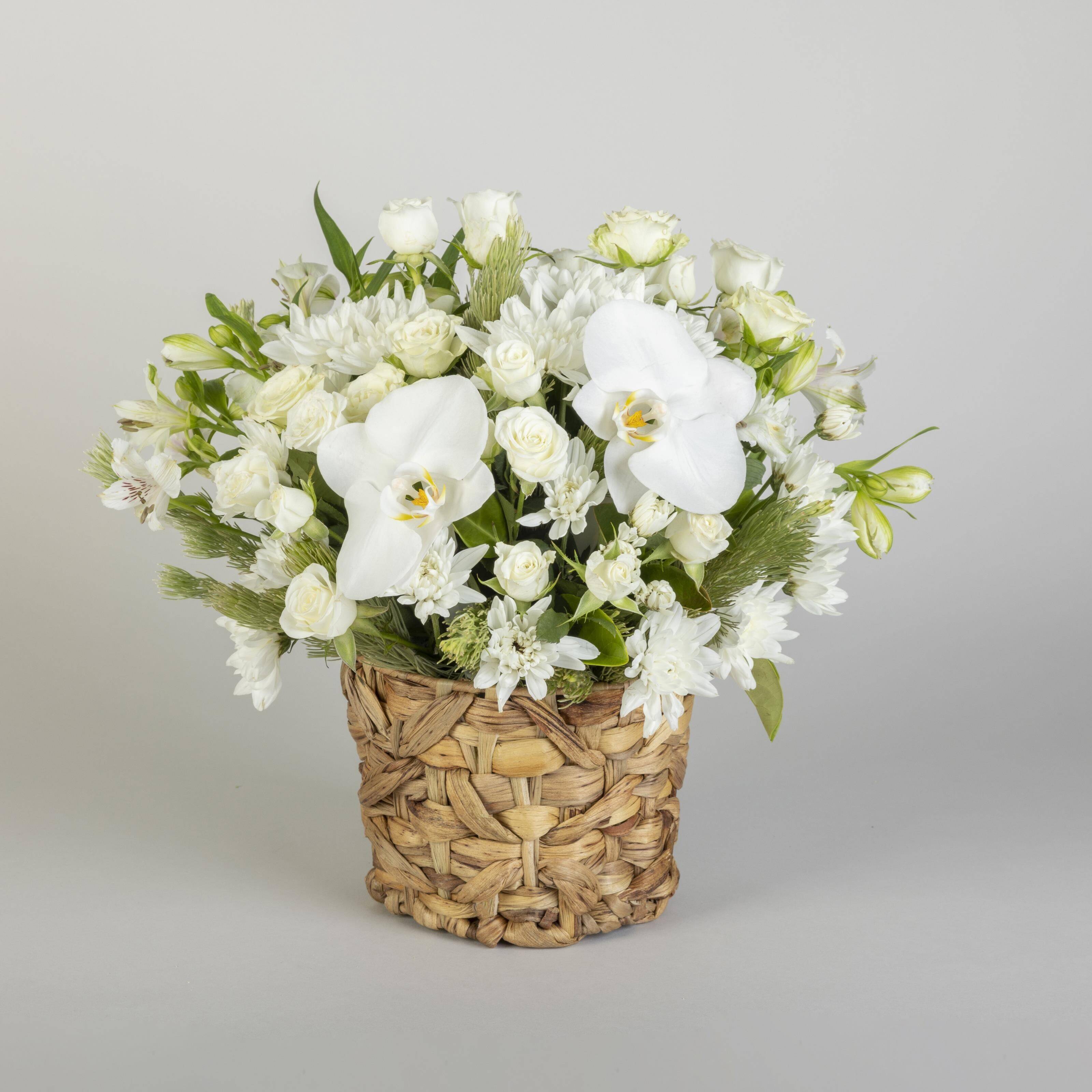 Blume, Blumen-Arrangement, Pflanze, Blumenstrauß, Florales Design, Blume, Blumen-Arrangement, Pflanze, Blumenstrauß, Florales Design, Blume, Blumen-Arrangement, Pflanze, Blumenstrauß, Florales Design, weißer Strauß, Orchidee, Korb, Blumen, weiße Rosen