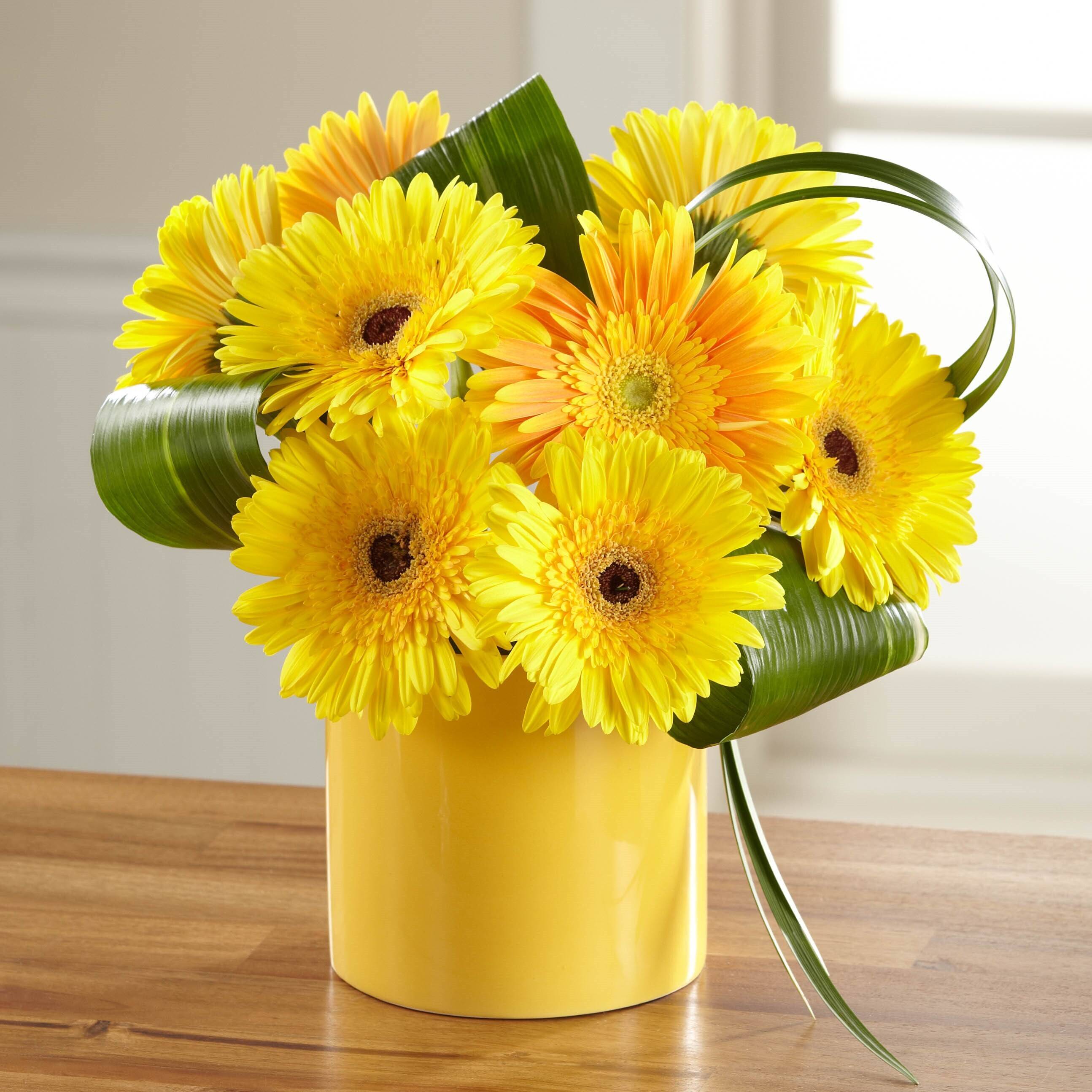 Blume, Blumen-Arrangement, Pflanze, Blumenstrauß, Gänseblümchen, Blume, Blumen-Arrangement, Pflanze, Blumenstrauß, Gänseblümchen, Blume, Blumen-Arrangement, Pflanze, Blumenstrauß, Gänseblümchen, blumen, sträußchen, gerbera, gelb, vase