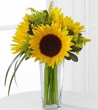 Blume, Blumen-Arrangement, Sonnenblume, Glas, Töpferei, Blume, Blumen-Arrangement, Sonnenblume, Glas, Töpferei, Blume, Blumen-Arrangement, Sonnenblume, Glas, Töpferei, Blume, Blumen-Arrangement, Sonnenblume, Glas, Töpferei