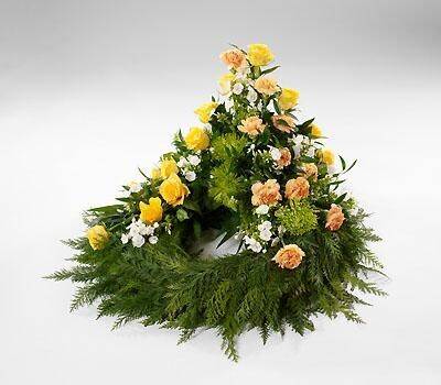Blatt, Grün, Anemone, Blütenblatt, Topfpflanze, Blatt, Grün, Anemone, Blütenblatt, Topfpflanze, Blatt, Grün, Anemone, Blütenblatt, Topfpflanze, Blatt, Grün, Anemone, Blütenblatt, Topfpflanze, Blatt, Grün, Anemone, Blütenblatt, Topfpflanze