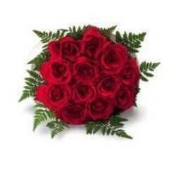 Blume, Blumen-Arrangement, Blumenstrauß, Pflanze, Rose, Blume, Blumen-Arrangement, Blumenstrauß, Pflanze, Rose, Blume, Blumen-Arrangement, Blumenstrauß, Pflanze, Rose, Blume, Blumen-Arrangement, Blumenstrauß, Pflanze, Rose