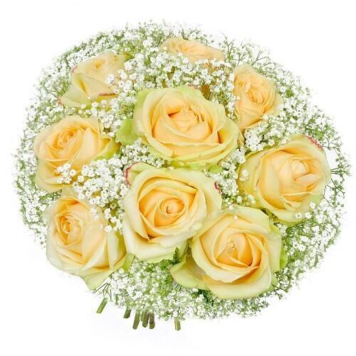 Blume, Pflanze, Rose, Blumen-Arrangement, Blumenstrauß, Blume, Pflanze, Rose, Blumen-Arrangement, Blumenstrauß, Blume, Pflanze, Rose, Blumen-Arrangement, Blumenstrauß, Blume, Pflanze, Rose, Blumen-Arrangement, Blumenstrauß