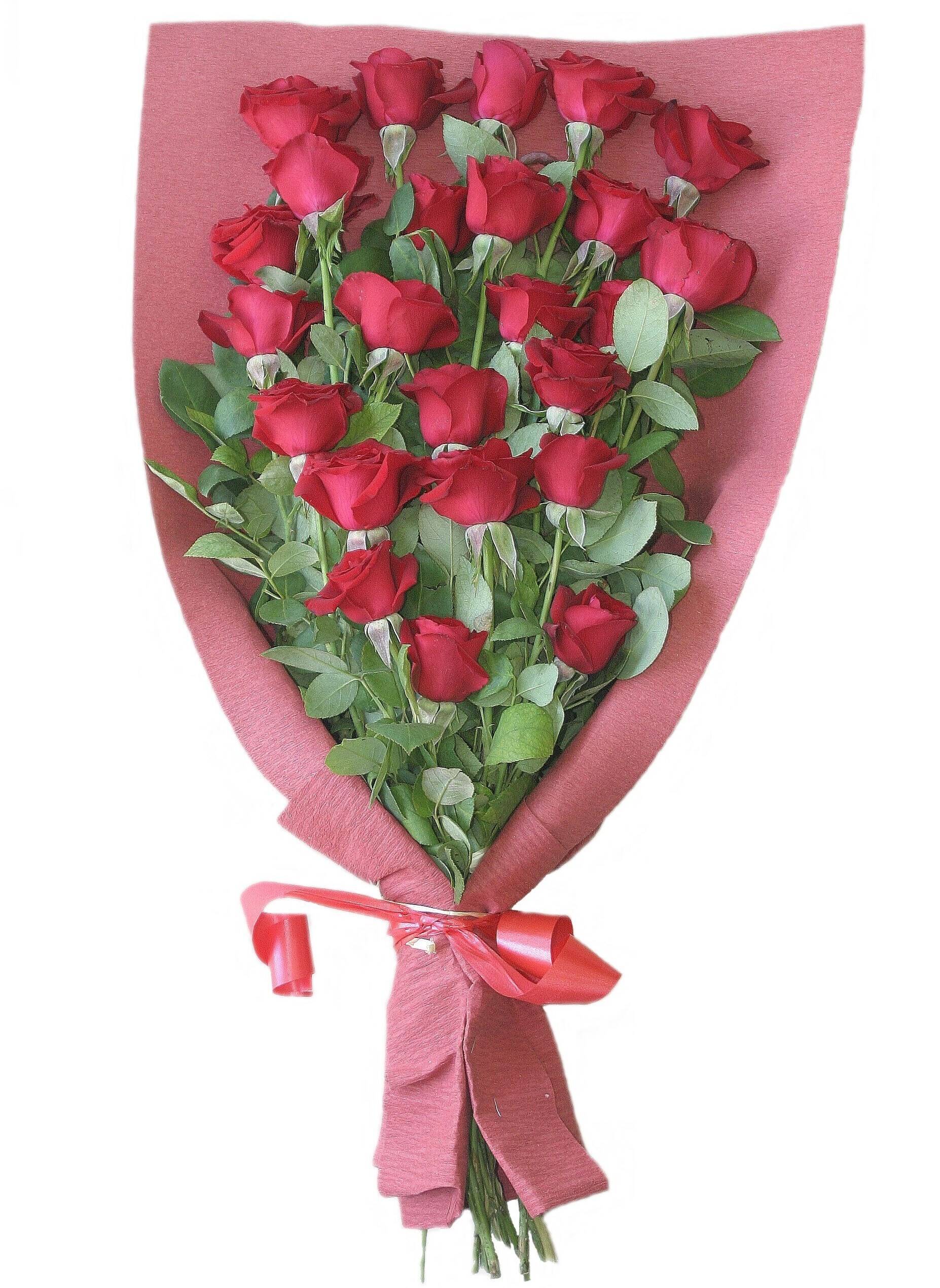 Blume, Blumen-Arrangement, Blumenstrauß, Rose, Blütenblatt, Blume, Blumen-Arrangement, Blumenstrauß, Rose, Blütenblatt, Blume, Blumen-Arrangement, Blumenstrauß, Rose, Blütenblatt, Blume, Blumen-Arrangement, Blumenstrauß, Rose, Blütenblatt