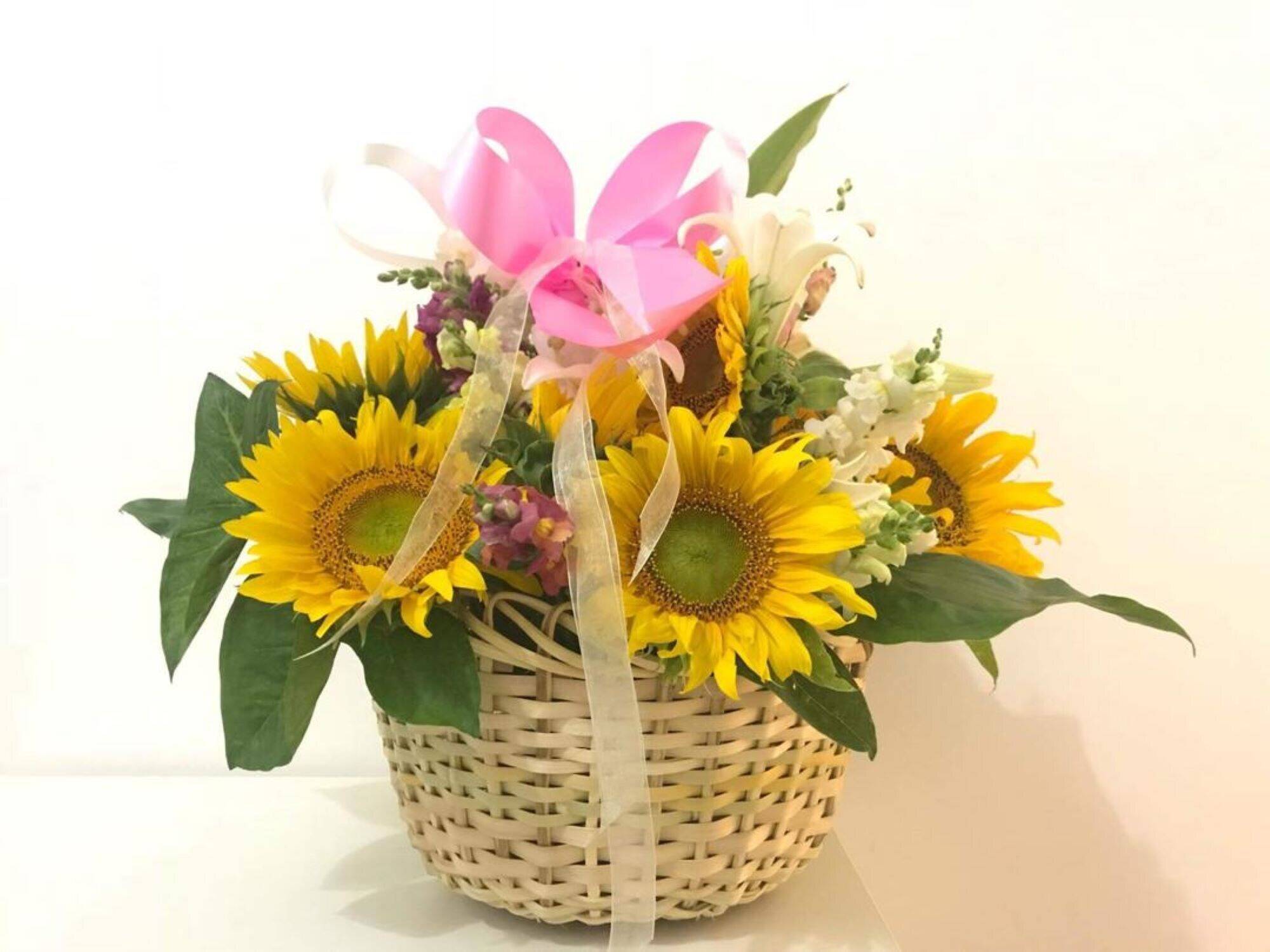Blume, Blumen-Arrangement, Pflanze, Blumenstrauß, Blume, Blumen-Arrangement, Pflanze, Blumenstrauß, Blume, Blumen-Arrangement, Pflanze, Blumenstrauß, Blume, Blumen-Arrangement, Pflanze, Blumenstrauß, Blume, Blumen-Arrangement, Pflanze, Blumenstrauß