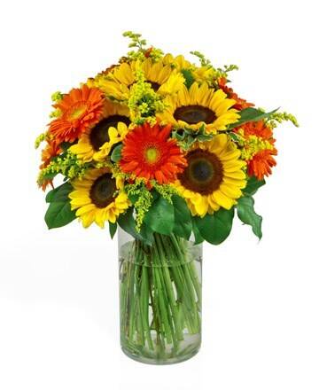 Blume, Blumen-Arrangement, Blumenstrauß, Glas, Sonnenblume, Blume, Blumen-Arrangement, Blumenstrauß, Glas, Sonnenblume, Blume, Blumen-Arrangement, Blumenstrauß, Glas, Sonnenblume, Blume, Blumen-Arrangement, Blumenstrauß, Glas, Sonnenblume