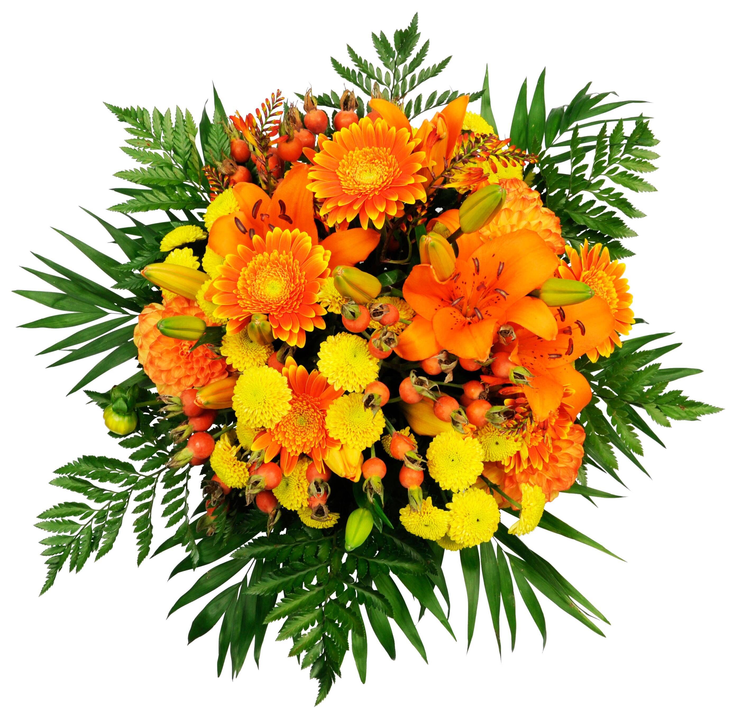 Blume, Blumen-Arrangement, Blumenstrauß, Pflanze, Blume, Blumen-Arrangement, Blumenstrauß, Pflanze, Blume, Blumen-Arrangement, Blumenstrauß, Pflanze, Blume, Blumen-Arrangement, Blumenstrauß, Pflanze, Blume, Blumen-Arrangement, Blumenstrauß, Pflanze