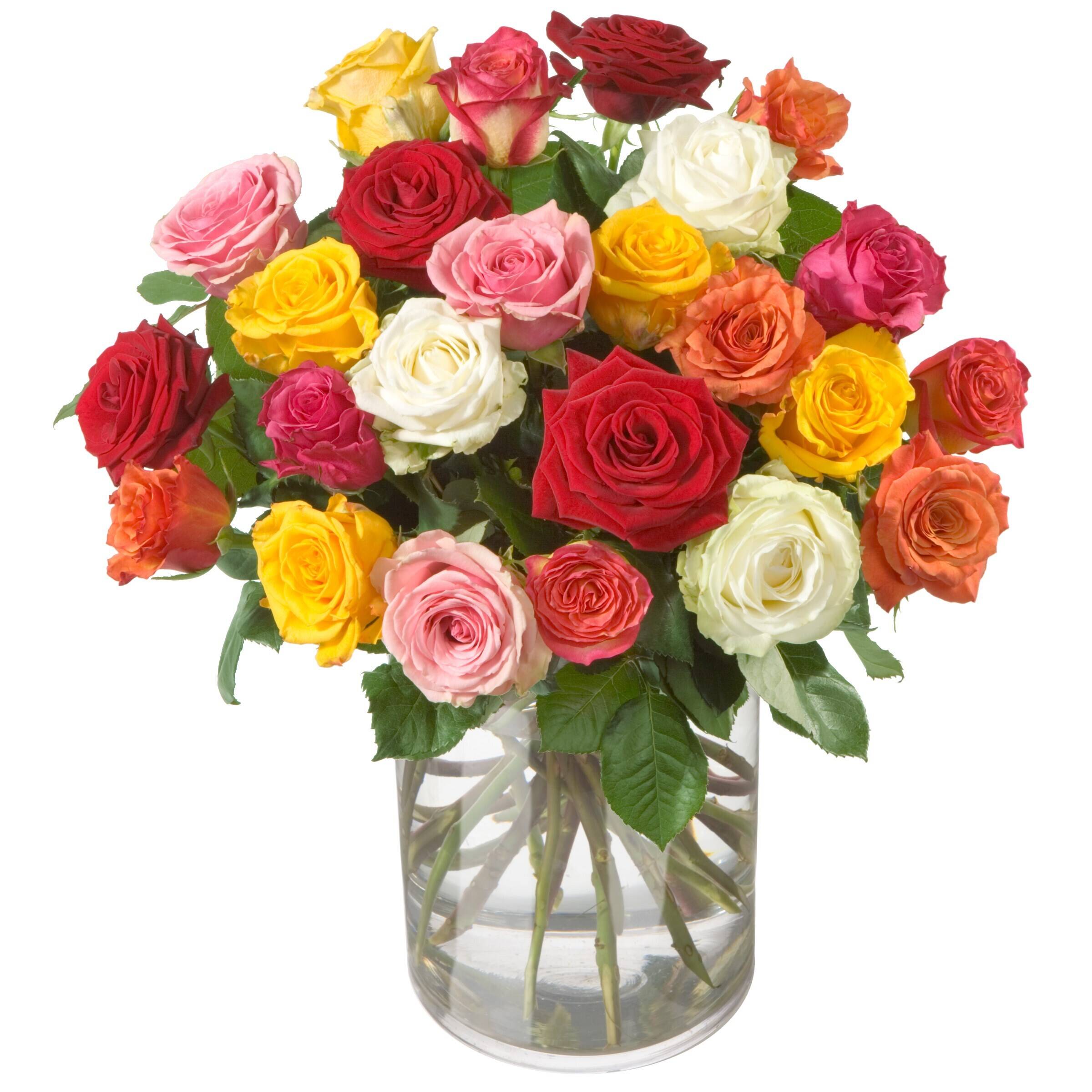 Blume, Pflanze, Rose, Blumen-Arrangement, Blumenstrauß, Blume, Pflanze, Rose, Blumen-Arrangement, Blumenstrauß, Blume, Pflanze, Rose, Blumen-Arrangement, Blumenstrauß, Blume, Pflanze, Rose, Blumen-Arrangement, Blumenstrauß