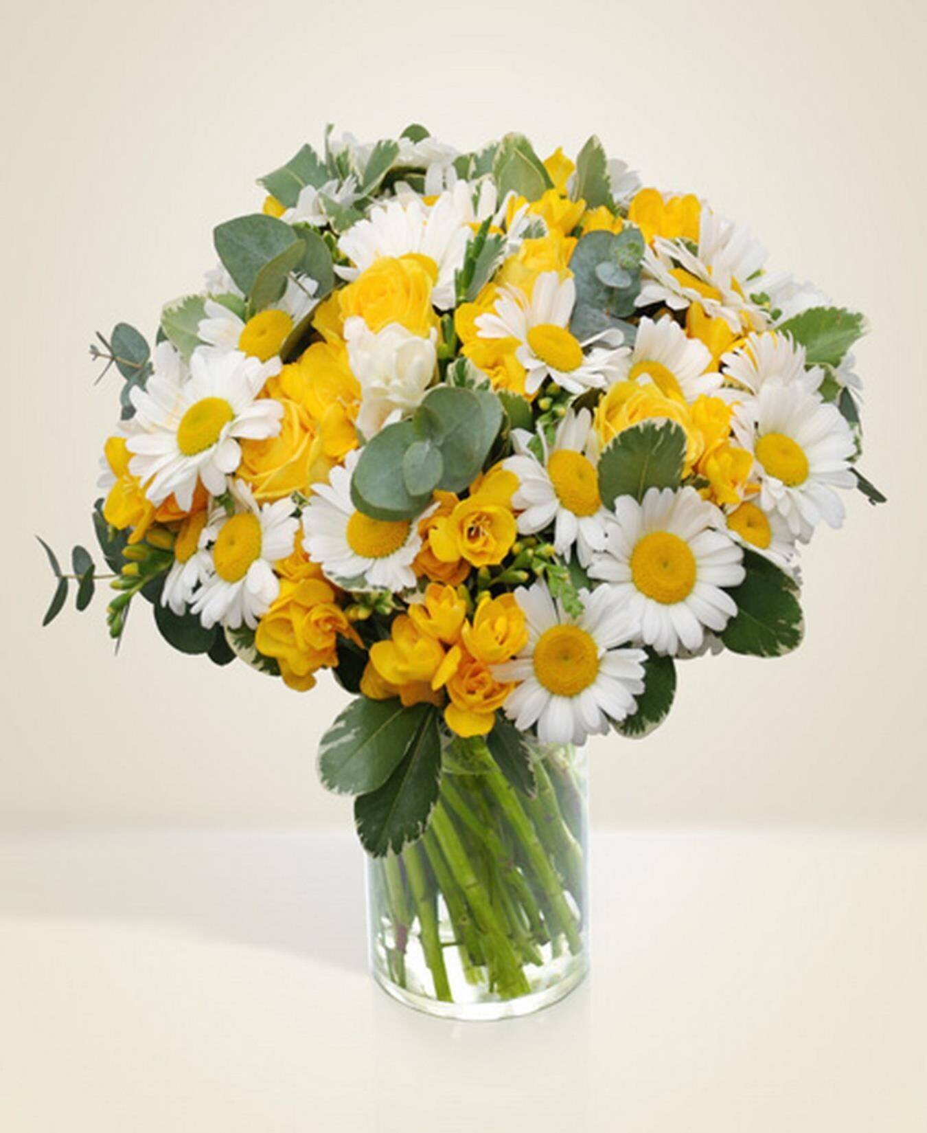 Blume, Blumen-Arrangement, Pflanze, Blumenstrauß, Florales Design, Blume, Blumen-Arrangement, Pflanze, Blumenstrauß, Florales Design, Blume, Blumen-Arrangement, Pflanze, Blumenstrauß, Florales Design