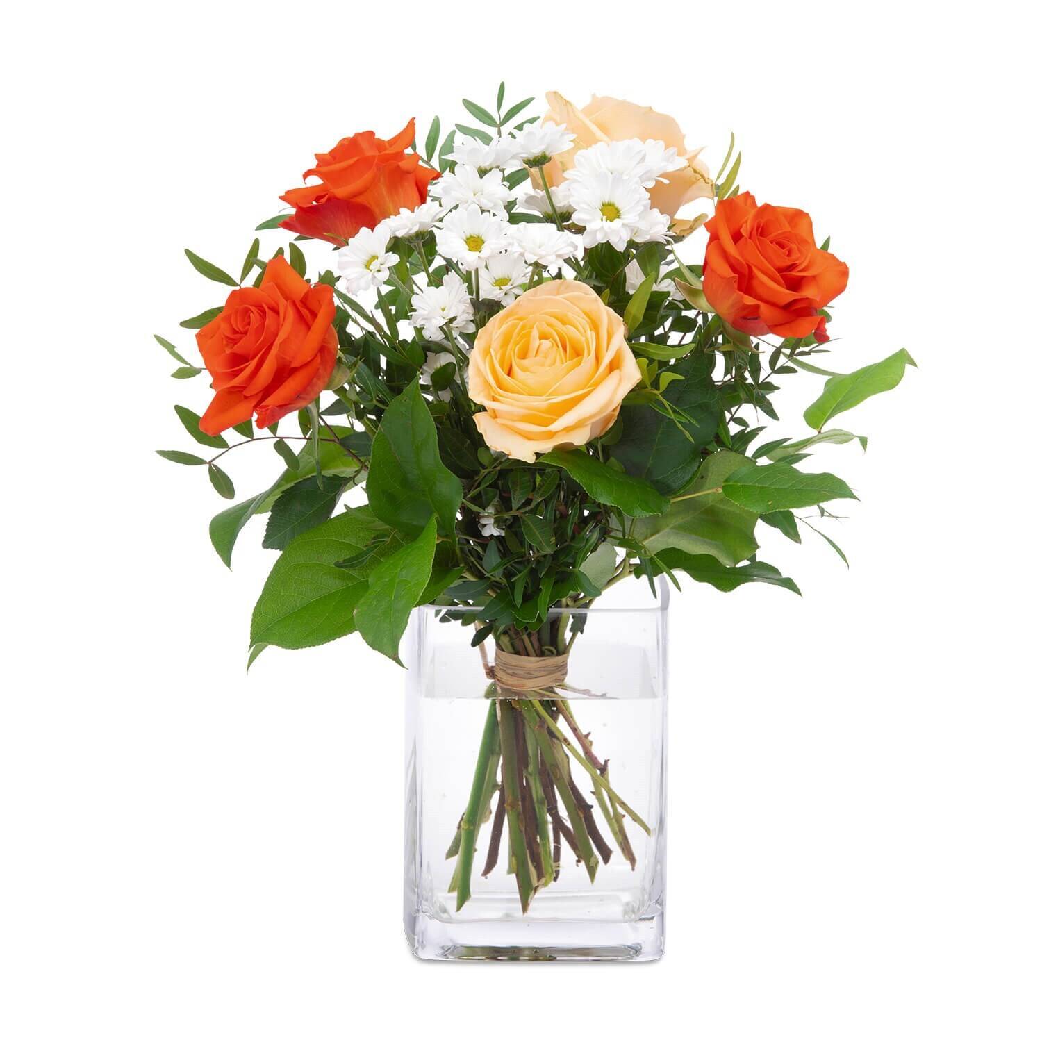 Blume, Pflanze, Rose, Blumen-Arrangement, Blumenstrauß, Blume, Pflanze, Rose, Blumen-Arrangement, Blumenstrauß, Blume, Pflanze, Rose, Blumen-Arrangement, Blumenstrauß, Blume, Pflanze, Rose, Blumen-Arrangement, Blumenstrauß