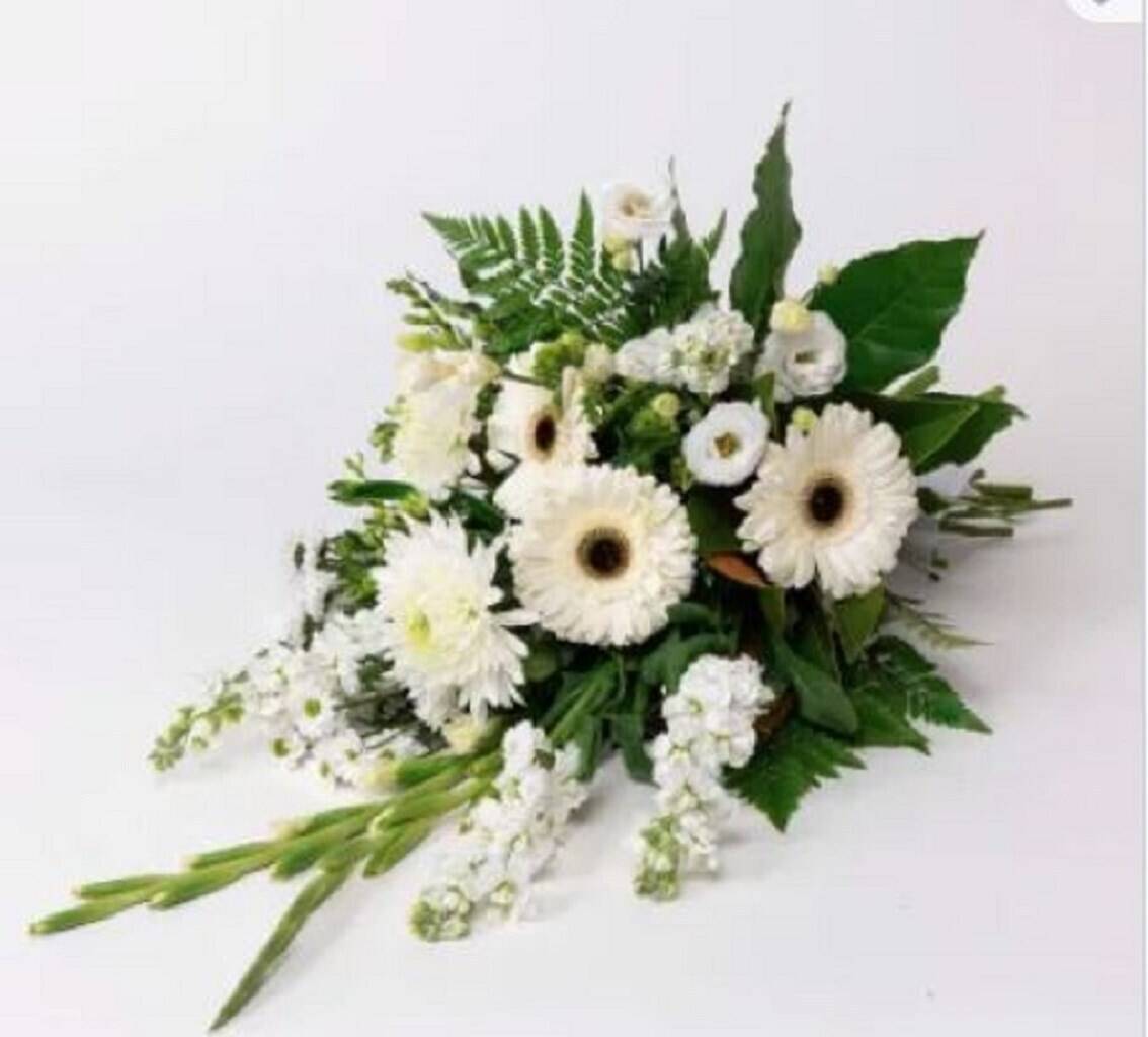Blume, Blumen-Arrangement, Pflanze, Blumenstrauß, Blume, Blumen-Arrangement, Pflanze, Blumenstrauß, Blume, Blumen-Arrangement, Pflanze, Blumenstrauß, Blume, Blumen-Arrangement, Pflanze, Blumenstrauß, Blume, Blumen-Arrangement, Pflanze, Blumenstrauß