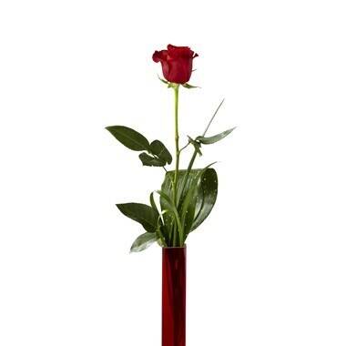 Blume, Pflanze, Rose, Blumen-Arrangement, Töpferei, Blume, Pflanze, Rose, Blumen-Arrangement, Töpferei, Blume, Pflanze, Rose, Blumen-Arrangement, Töpferei, Blume, Pflanze, Rose, Blumen-Arrangement, Töpferei, Rose, rote Rose, einzelner Stiel, Blume, Vase