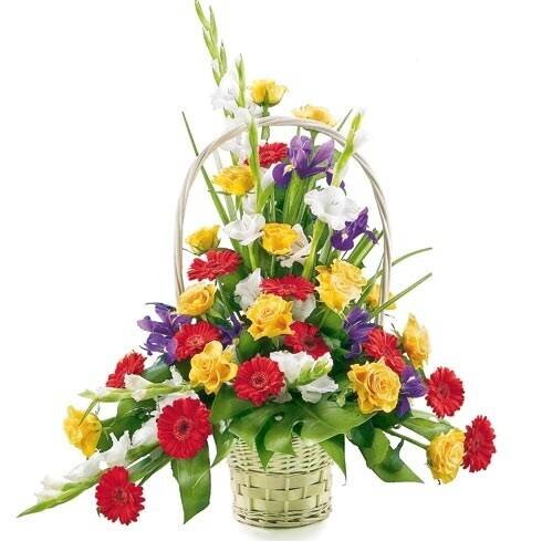Blume, Blumen-Arrangement, Pflanze, Blumenstrauß, Blume, Blumen-Arrangement, Pflanze, Blumenstrauß, Blume, Blumen-Arrangement, Pflanze, Blumenstrauß, Blume, Blumen-Arrangement, Pflanze, Blumenstrauß, Blume, Blumen-Arrangement, Pflanze, Blumenstrauß