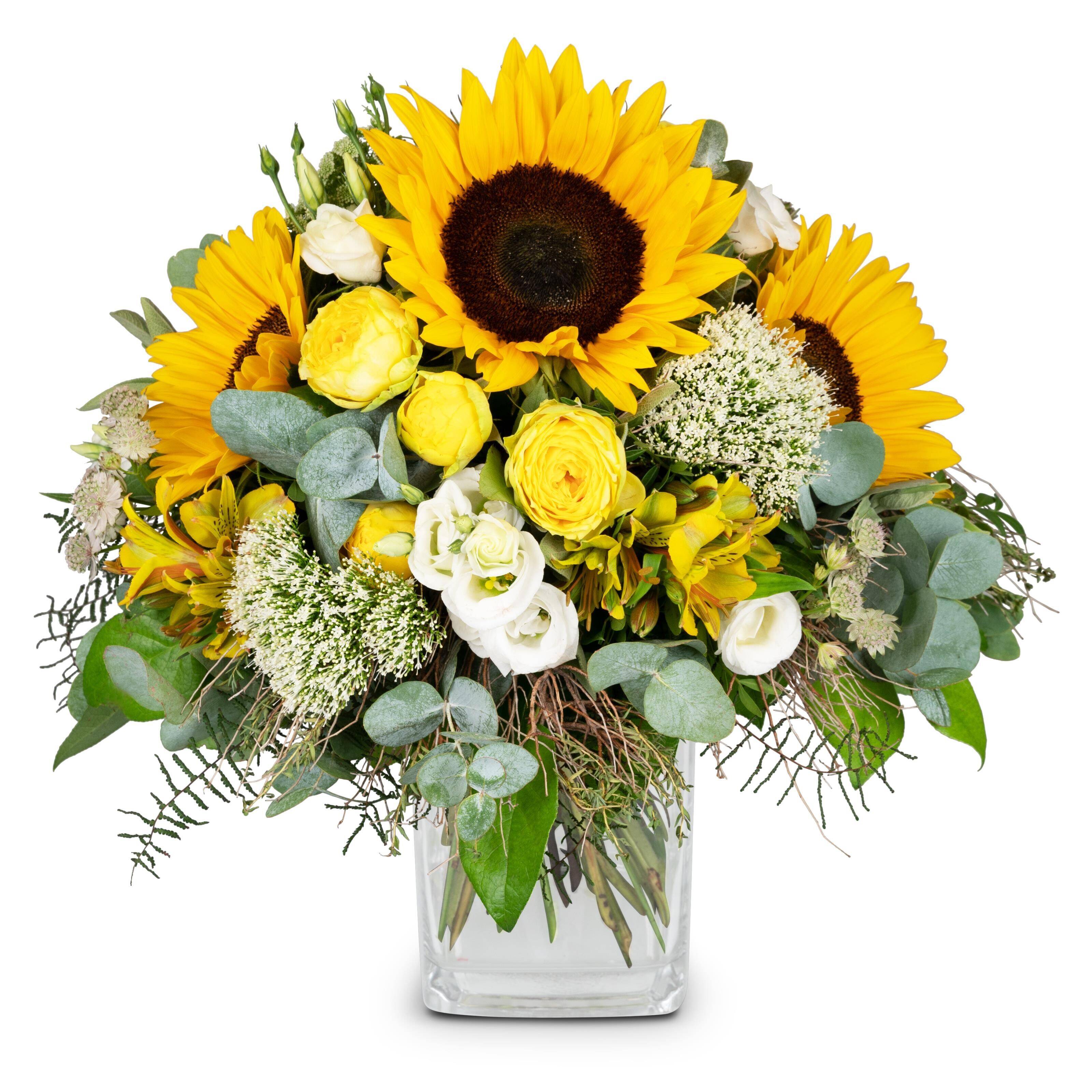 Blume, Blumen-Arrangement, Pflanze, Blumenstrauß, Sonnenblume, Blume, Blumen-Arrangement, Pflanze, Blumenstrauß, Sonnenblume, Blume, Blumen-Arrangement, Pflanze, Blumenstrauß, Sonnenblume, Blume, Blumen-Arrangement, Pflanze, Blumenstrauß, Sonnenblume