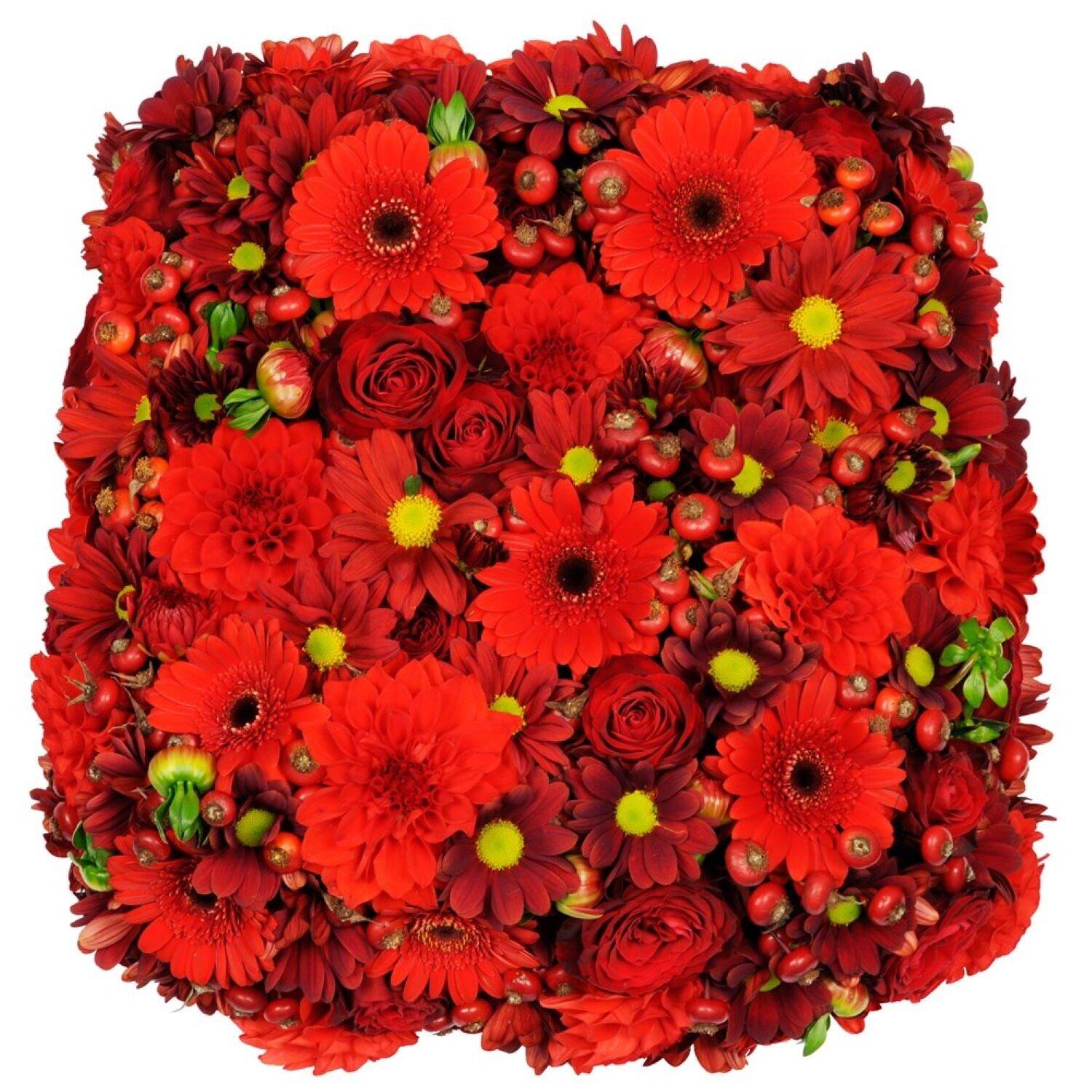 Blume, Blumen-Arrangement, Pflanze, Blumenstrauß, Florales Design, Blume, Blumen-Arrangement, Pflanze, Blumenstrauß, Florales Design, Blume, Blumen-Arrangement, Pflanze, Blumenstrauß, Florales Design, Blumen, Bouquet, Rot, Gerbera, Rosen