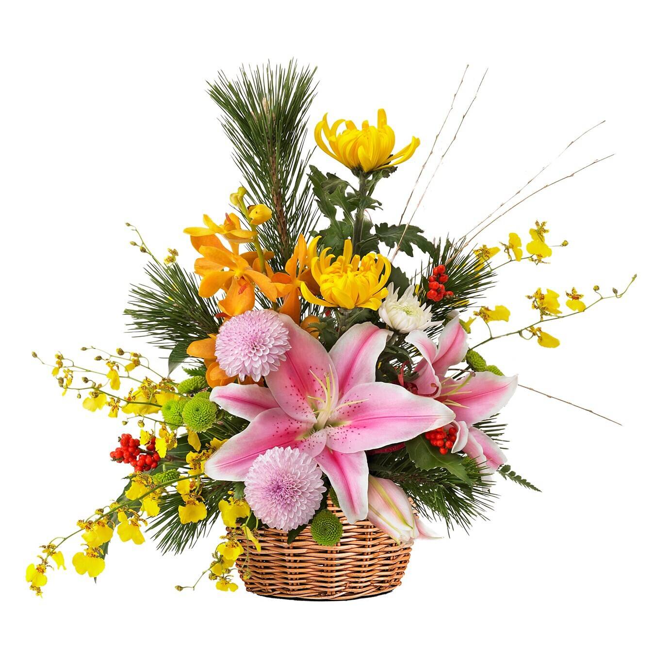 Blume, Blumen-Arrangement, Pflanze, Blumenstrauß, Ikebana, Blume, Blumen-Arrangement, Pflanze, Blumenstrauß, Ikebana, Blume, Blumen-Arrangement, Pflanze, Blumenstrauß, Ikebana, Blume, Blumen-Arrangement, Pflanze, Blumenstrauß, Ikebana