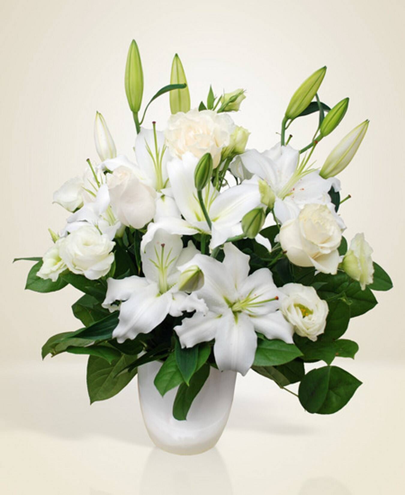 Blume, Blumen-Arrangement, Pflanze, Blumenstrauß, Rose, Blume, Blumen-Arrangement, Pflanze, Blumenstrauß, Rose, Blume, Blumen-Arrangement, Pflanze, Blumenstrauß, Rose, Blume, Blumen-Arrangement, Pflanze, Blumenstrauß, Rose