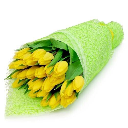Blume, Blumen-Arrangement, Blumenstrauß, Pflanze, Blume, Blumen-Arrangement, Blumenstrauß, Pflanze, Blume, Blumen-Arrangement, Blumenstrauß, Pflanze, Blume, Blumen-Arrangement, Blumenstrauß, Pflanze, Blume, Blumen-Arrangement, Blumenstrauß, Pflanze