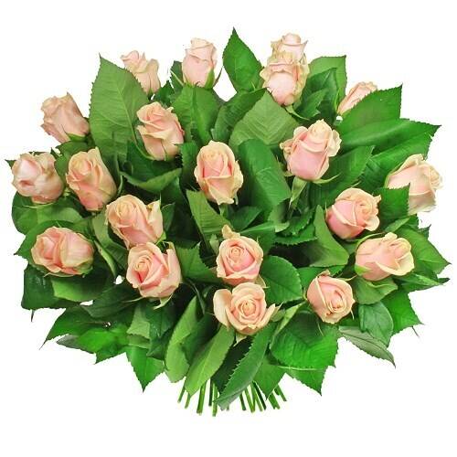 Blume, Blumen-Arrangement, Blumenstrauß, Rose, Blatt, Blume, Blumen-Arrangement, Blumenstrauß, Rose, Blatt, Blume, Blumen-Arrangement, Blumenstrauß, Rose, Blatt, Blume, Blumen-Arrangement, Blumenstrauß, Rose, Blatt