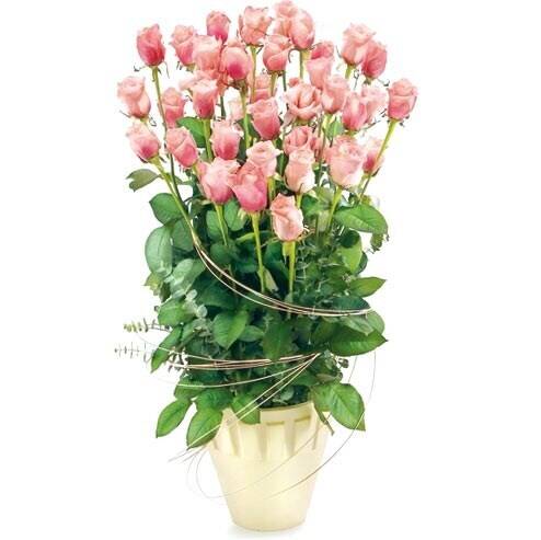 Blume, Blumen-Arrangement, Blumenstrauß, Topfpflanze, Rose, Blume, Blumen-Arrangement, Blumenstrauß, Topfpflanze, Rose, Blume, Blumen-Arrangement, Blumenstrauß, Topfpflanze, Rose, Blume, Blumen-Arrangement, Blumenstrauß, Topfpflanze, Rose