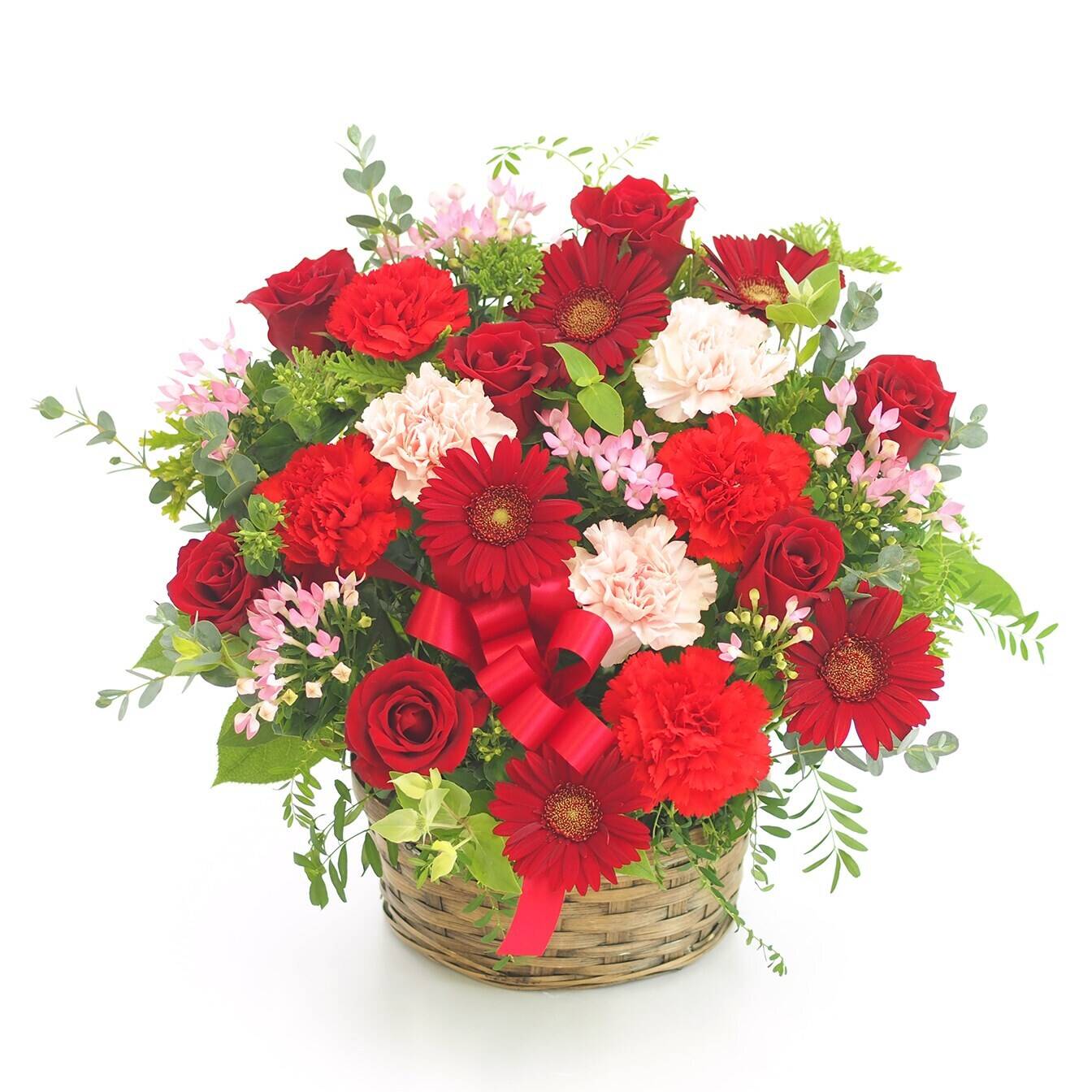Blume, Blumen-Arrangement, Pflanze, Blumenstrauß, Rose, Blume, Blumen-Arrangement, Pflanze, Blumenstrauß, Rose, Blume, Blumen-Arrangement, Pflanze, Blumenstrauß, Rose, Blume, Blumen-Arrangement, Pflanze, Blumenstrauß, Rose