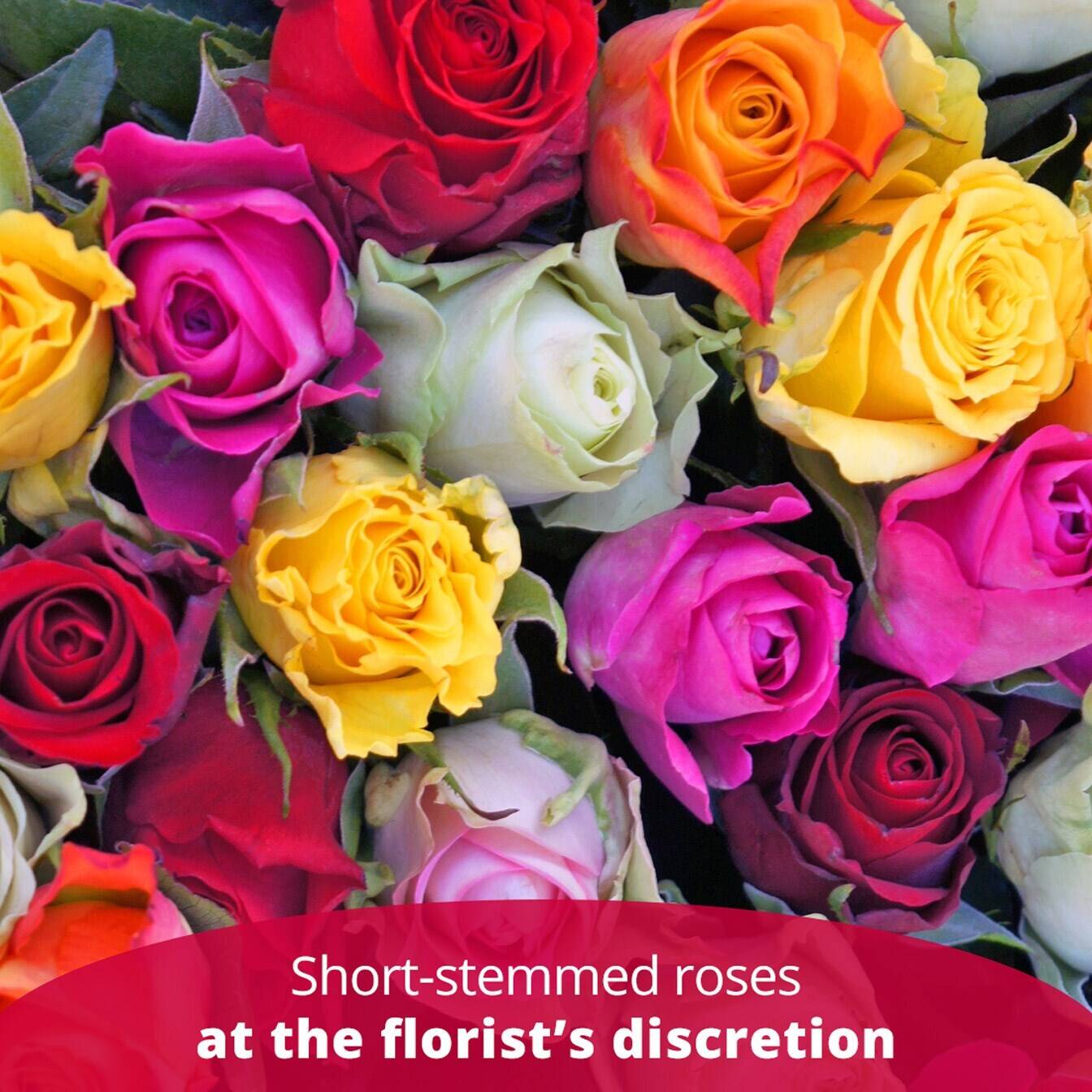 Blume, Rose, Blumen-Arrangement, Blumenstrauß, Blütenblatt, Blume, Rose, Blumen-Arrangement, Blumenstrauß, Blütenblatt, Blume, Rose, Blumen-Arrangement, Blumenstrauß, Blütenblatt, Blume, Rose, Blumen-Arrangement, Blumenstrauß, Blütenblatt