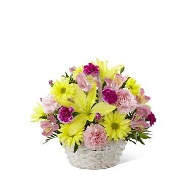 Blume, Blumen-Arrangement, Pflanze, Blumenstrauß, Blume, Blumen-Arrangement, Pflanze, Blumenstrauß, Blume, Blumen-Arrangement, Pflanze, Blumenstrauß, Blume, Blumen-Arrangement, Pflanze, Blumenstrauß, Blume, Blumen-Arrangement, Pflanze, Blumenstrauß
