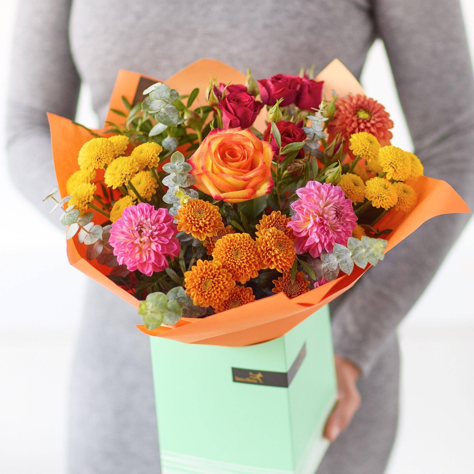The Dahlia Delight
