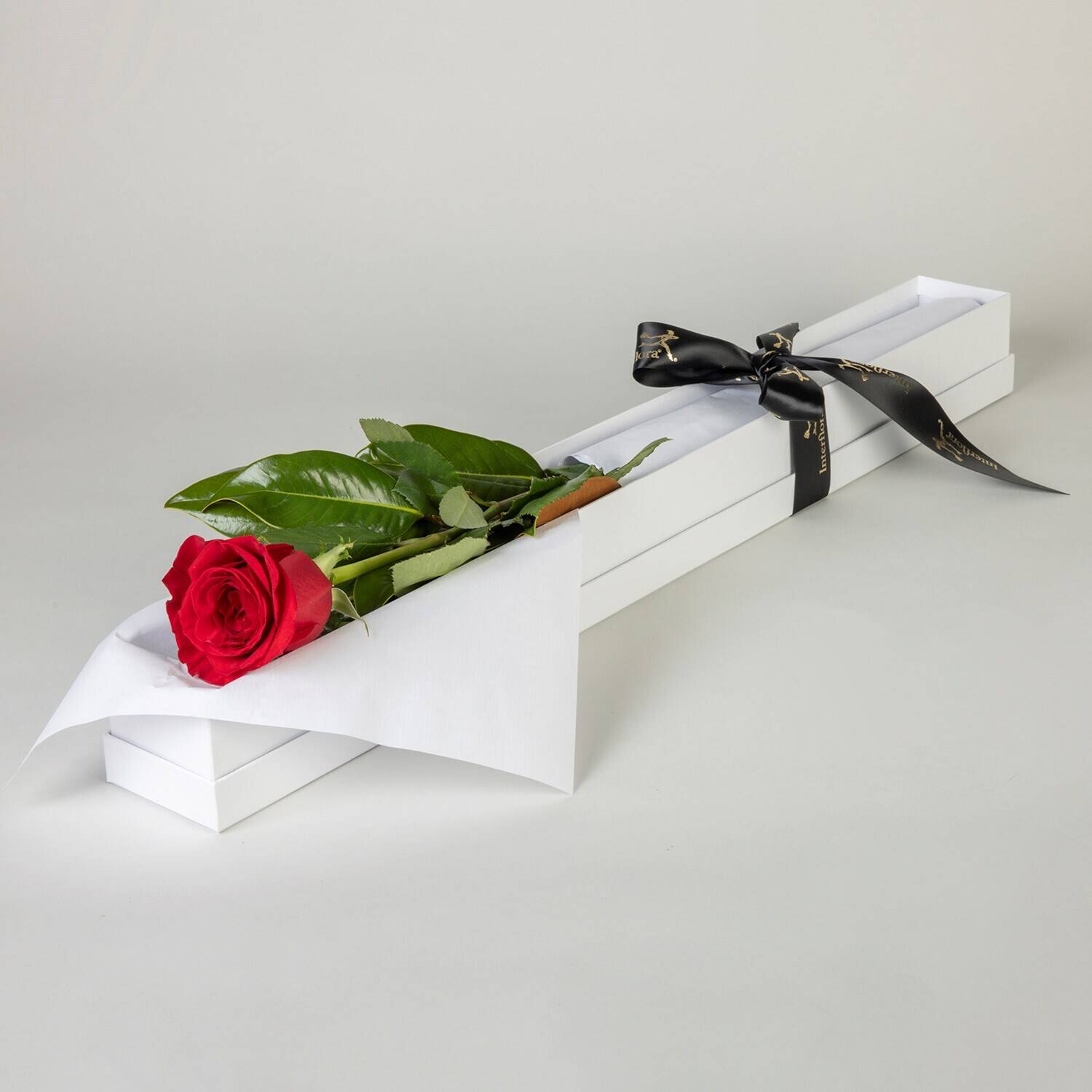 Blume, Rose, Blumen-Arrangement, Blumenstrauß, Blatt, Blume, Rose, Blumen-Arrangement, Blumenstrauß, Blatt, Blume, Rose, Blumen-Arrangement, Blumenstrauß, Blatt, Blume, Rose, Blumen-Arrangement, Blumenstrauß, Blatt