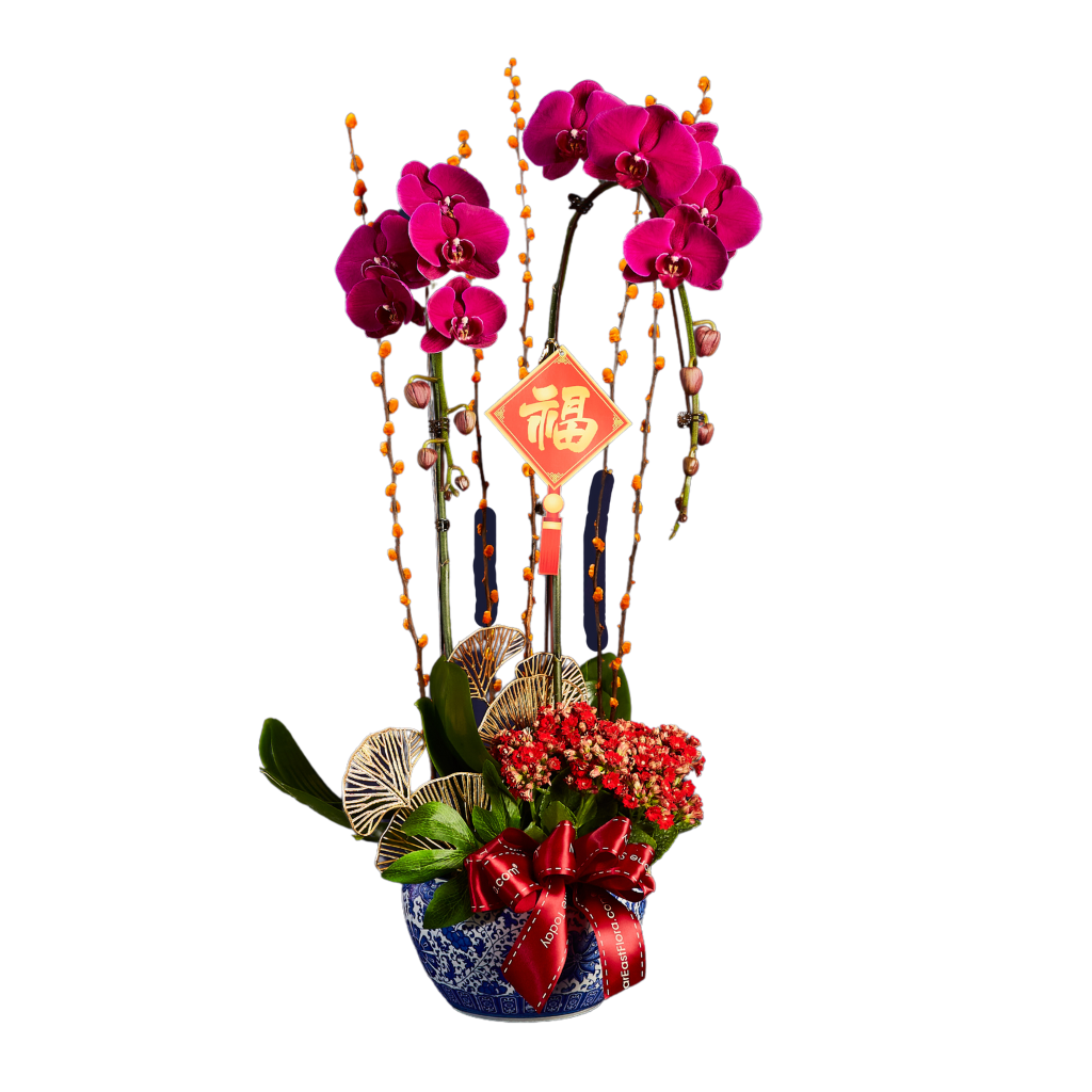 Blume, Blumen-Arrangement, Pflanze, Blumenstrauß, Ikebana, Blume, Blumen-Arrangement, Pflanze, Blumenstrauß, Ikebana, Blume, Blumen-Arrangement, Pflanze, Blumenstrauß, Ikebana, Blume, Blumen-Arrangement, Pflanze, Blumenstrauß, Ikebana