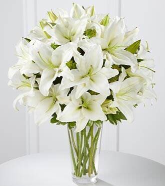 Blume, Pflanze, Blumen-Arrangement, Blumenstrauß, Blume, Pflanze, Blumen-Arrangement, Blumenstrauß, Blume, Pflanze, Blumen-Arrangement, Blumenstrauß, Blume, Pflanze, Blumen-Arrangement, Blumenstrauß, Blume, Pflanze, Blumen-Arrangement, Blumenstrauß