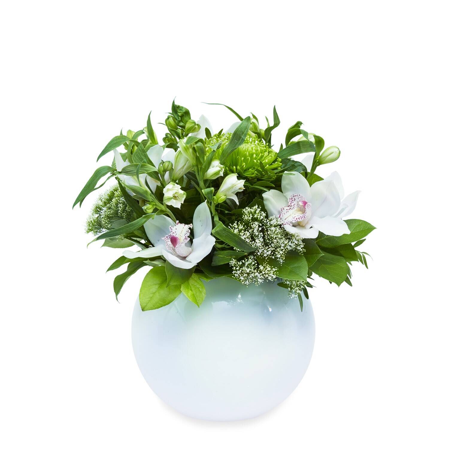 Blume, Blumen-Arrangement, Pflanze, Blumenstrauß, Blume, Blumen-Arrangement, Pflanze, Blumenstrauß, Blume, Blumen-Arrangement, Pflanze, Blumenstrauß, Blume, Blumen-Arrangement, Pflanze, Blumenstrauß, Blume, Blumen-Arrangement, Pflanze, Blumenstrauß
