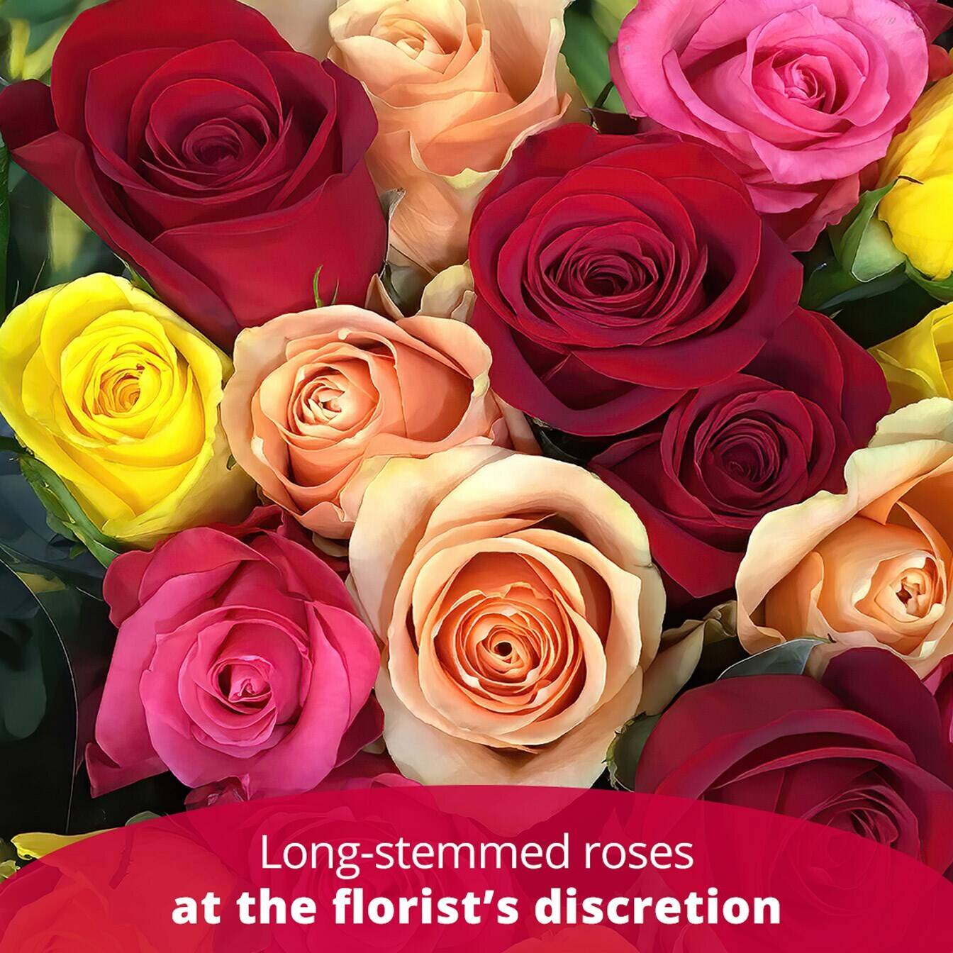 Blume, Pflanze, Rose, Blumen-Arrangement, Blumenstrauß, Blume, Pflanze, Rose, Blumen-Arrangement, Blumenstrauß, Blume, Pflanze, Rose, Blumen-Arrangement, Blumenstrauß, Blume, Pflanze, Rose, Blumen-Arrangement, Blumenstrauß