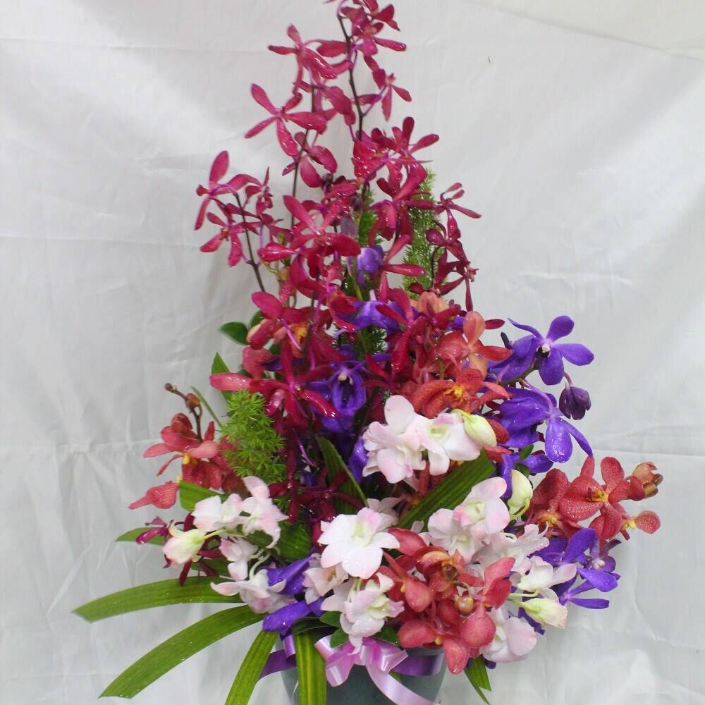 Blume, Blumen-Arrangement, Blumenstrauß, Florales Design, Blütenblatt, Blume, Blumen-Arrangement, Blumenstrauß, Florales Design, Blütenblatt, Blume, Blumen-Arrangement, Blumenstrauß, Florales Design, Blütenblatt