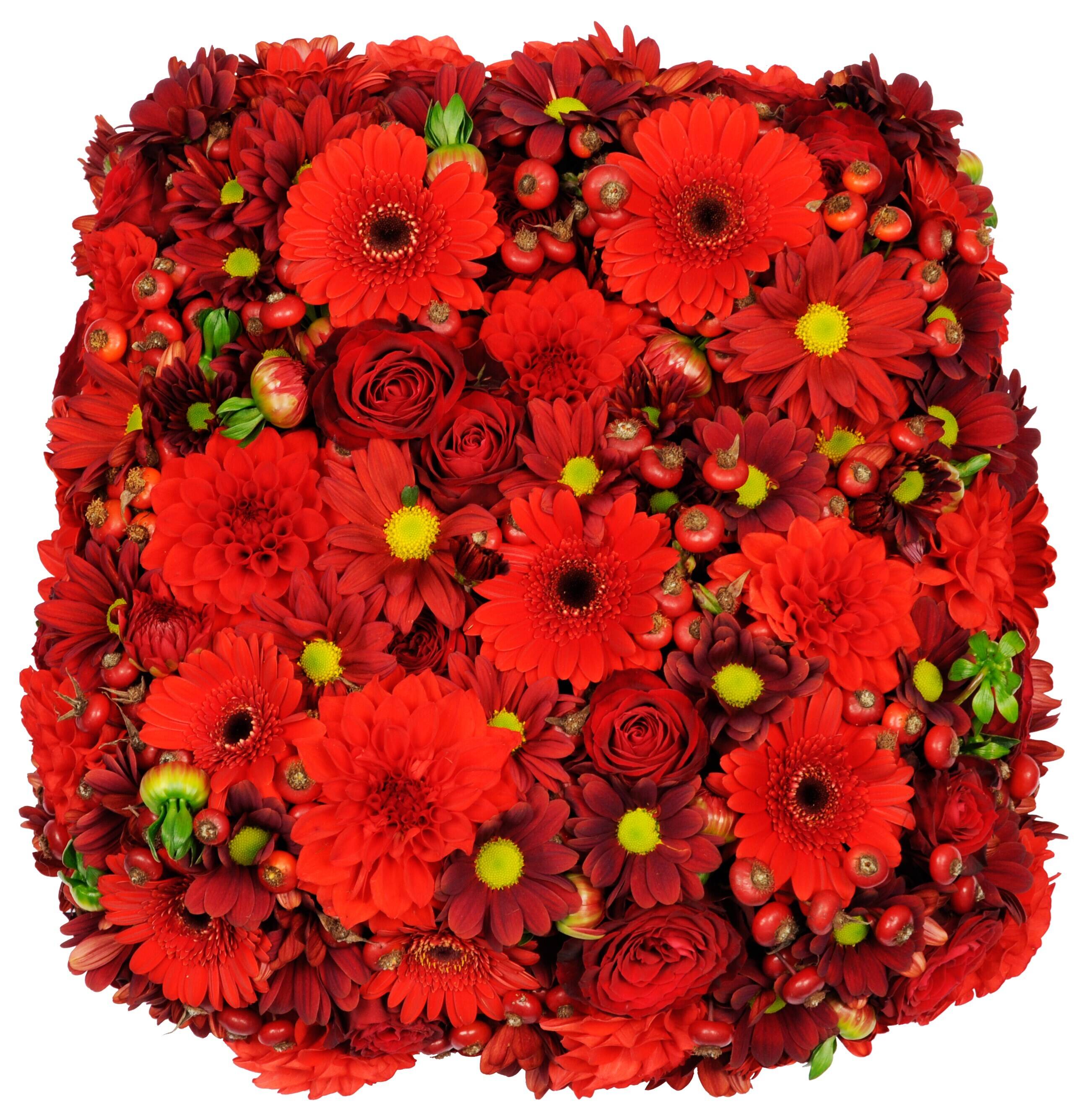 Blume, Blumen-Arrangement, Pflanze, Blumenstrauß, Florales Design, Blume, Blumen-Arrangement, Pflanze, Blumenstrauß, Florales Design, Blume, Blumen-Arrangement, Pflanze, Blumenstrauß, Florales Design, Blumenstrauß, rote Blumen, Garten-gern, Dahlie, Rose