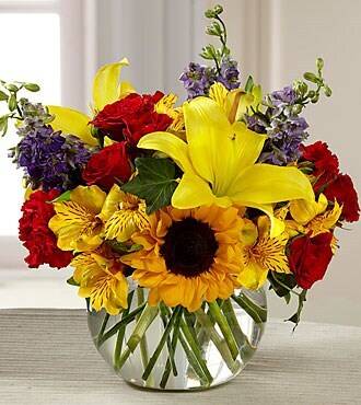 Blume, Blumen-Arrangement, Pflanze, Blumenstrauß, Blume, Blumen-Arrangement, Pflanze, Blumenstrauß, Blume, Blumen-Arrangement, Pflanze, Blumenstrauß, Blume, Blumen-Arrangement, Pflanze, Blumenstrauß, Blume, Blumen-Arrangement, Pflanze, Blumenstrauß