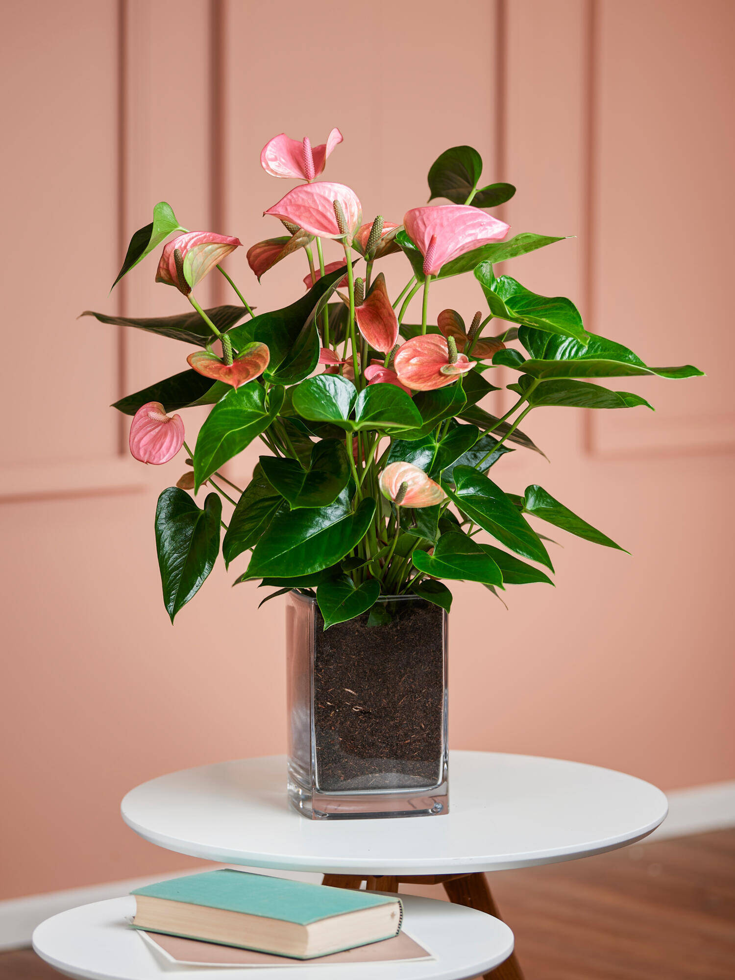 Flamingoblume in Pink-Rosa mit Vase