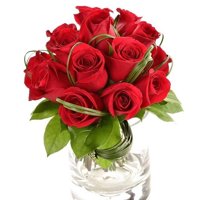 Blume, Pflanze, Rose, Blumen-Arrangement, Blumenstrauß, Blume, Pflanze, Rose, Blumen-Arrangement, Blumenstrauß, Blume, Pflanze, Rose, Blumen-Arrangement, Blumenstrauß, Blume, Pflanze, Rose, Blumen-Arrangement, Blumenstrauß