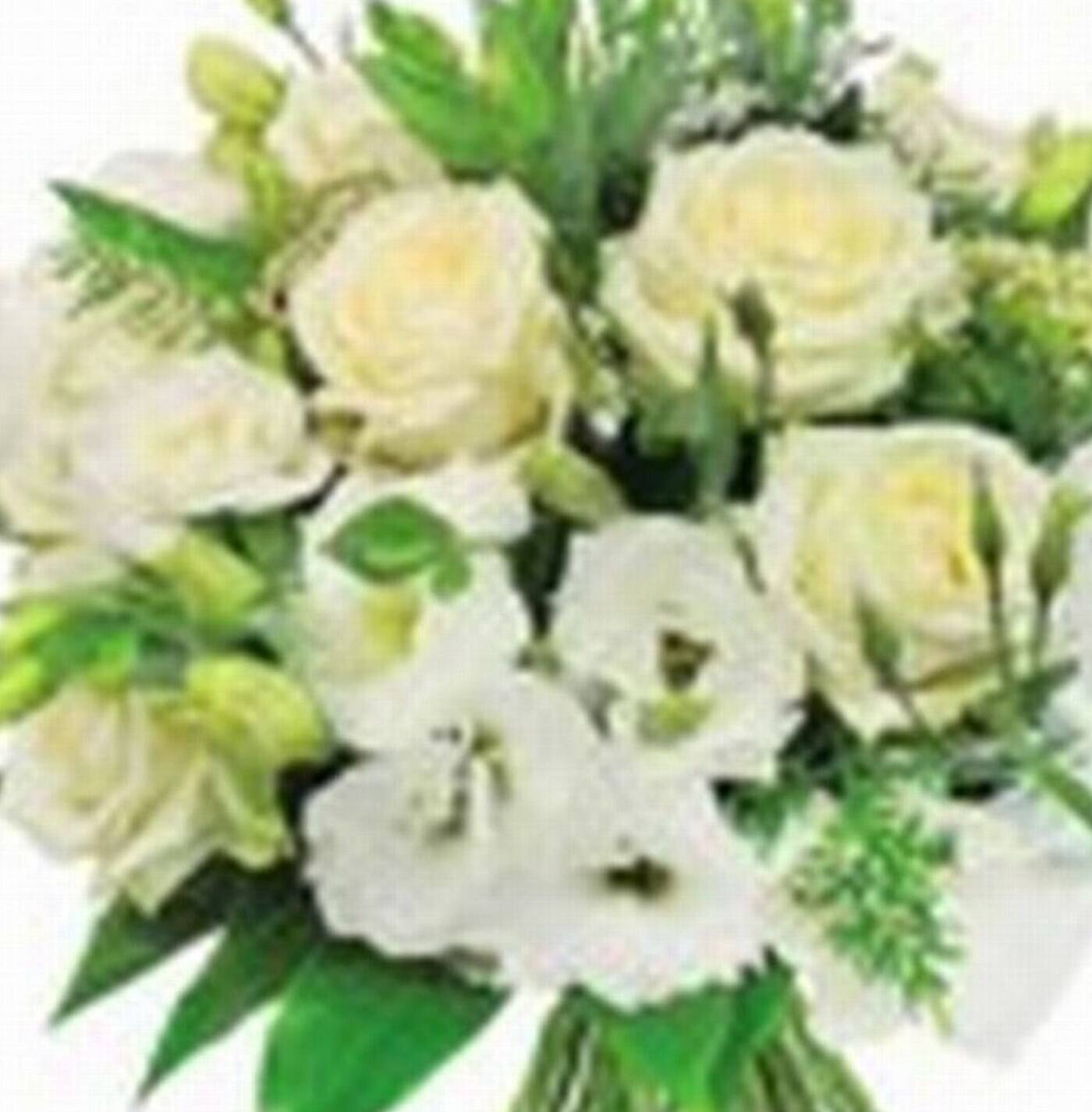 Blume, Blumen-Arrangement, Blumenstrauß, Pflanze, Blume, Blumen-Arrangement, Blumenstrauß, Pflanze, Blume, Blumen-Arrangement, Blumenstrauß, Pflanze, Blume, Blumen-Arrangement, Blumenstrauß, Pflanze, Blume, Blumen-Arrangement, Blumenstrauß, Pflanze