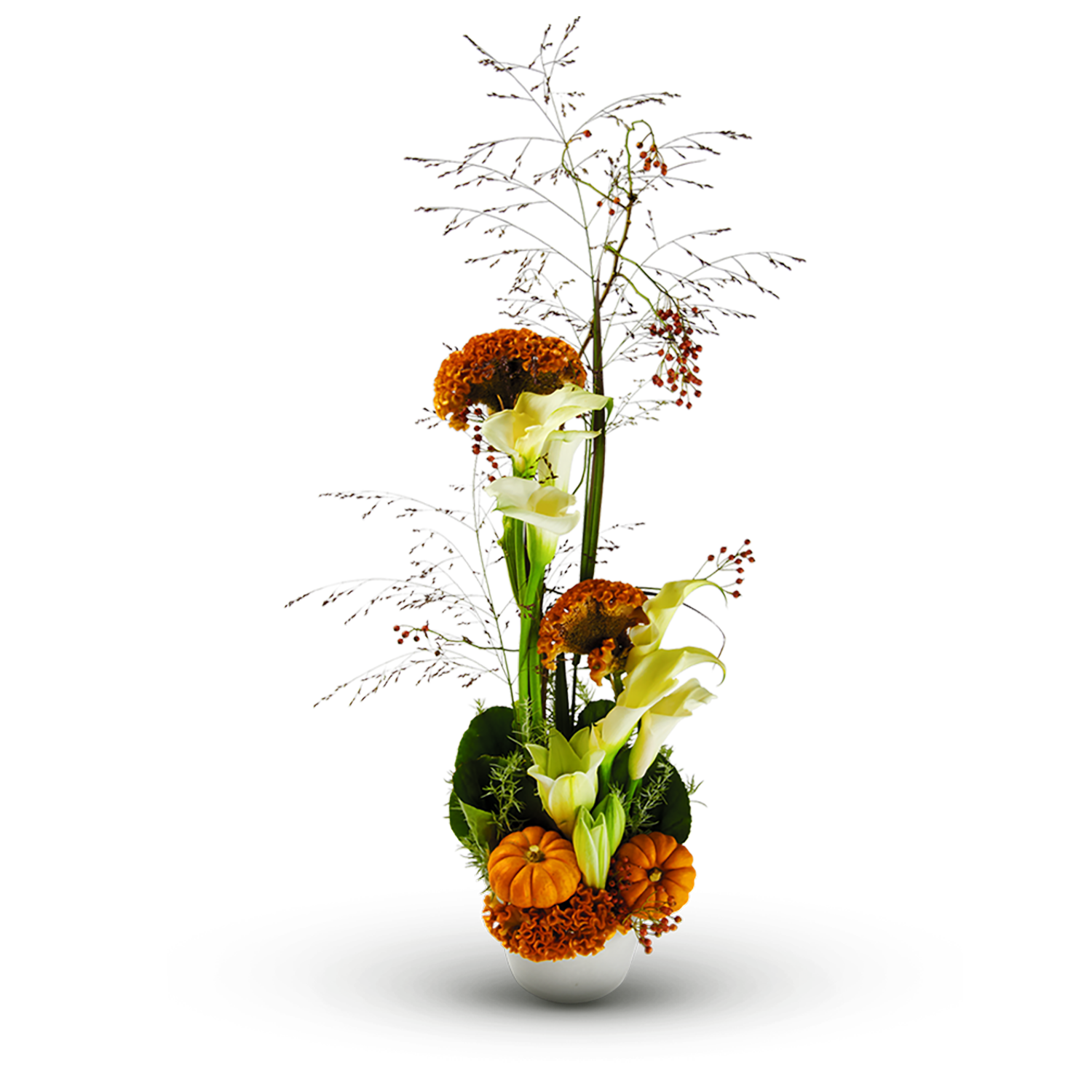 Blume, Blumen-Arrangement, Ikebana, Pflanze, Blumenstrauß, Blume, Blumen-Arrangement, Ikebana, Pflanze, Blumenstrauß, Blume, Blumen-Arrangement, Ikebana, Pflanze, Blumenstrauß, Blume, Blumen-Arrangement, Ikebana, Pflanze, Blumenstrauß