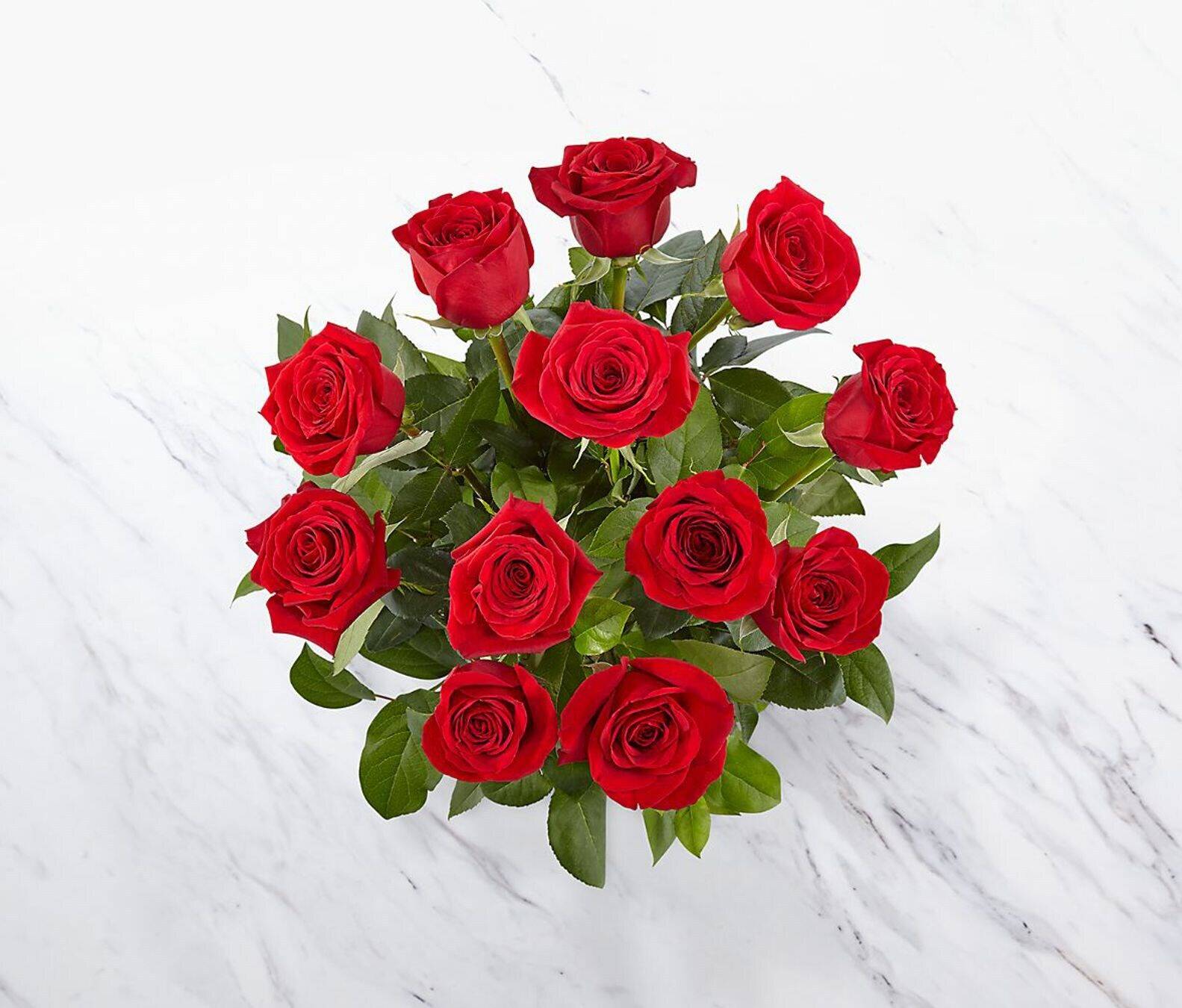 Blume, Pflanze, Rose, Blumen-Arrangement, Blumenstrauß, Blume, Pflanze, Rose, Blumen-Arrangement, Blumenstrauß, Blume, Pflanze, Rose, Blumen-Arrangement, Blumenstrauß, Blume, Pflanze, Rose, Blumen-Arrangement, Blumenstrauß