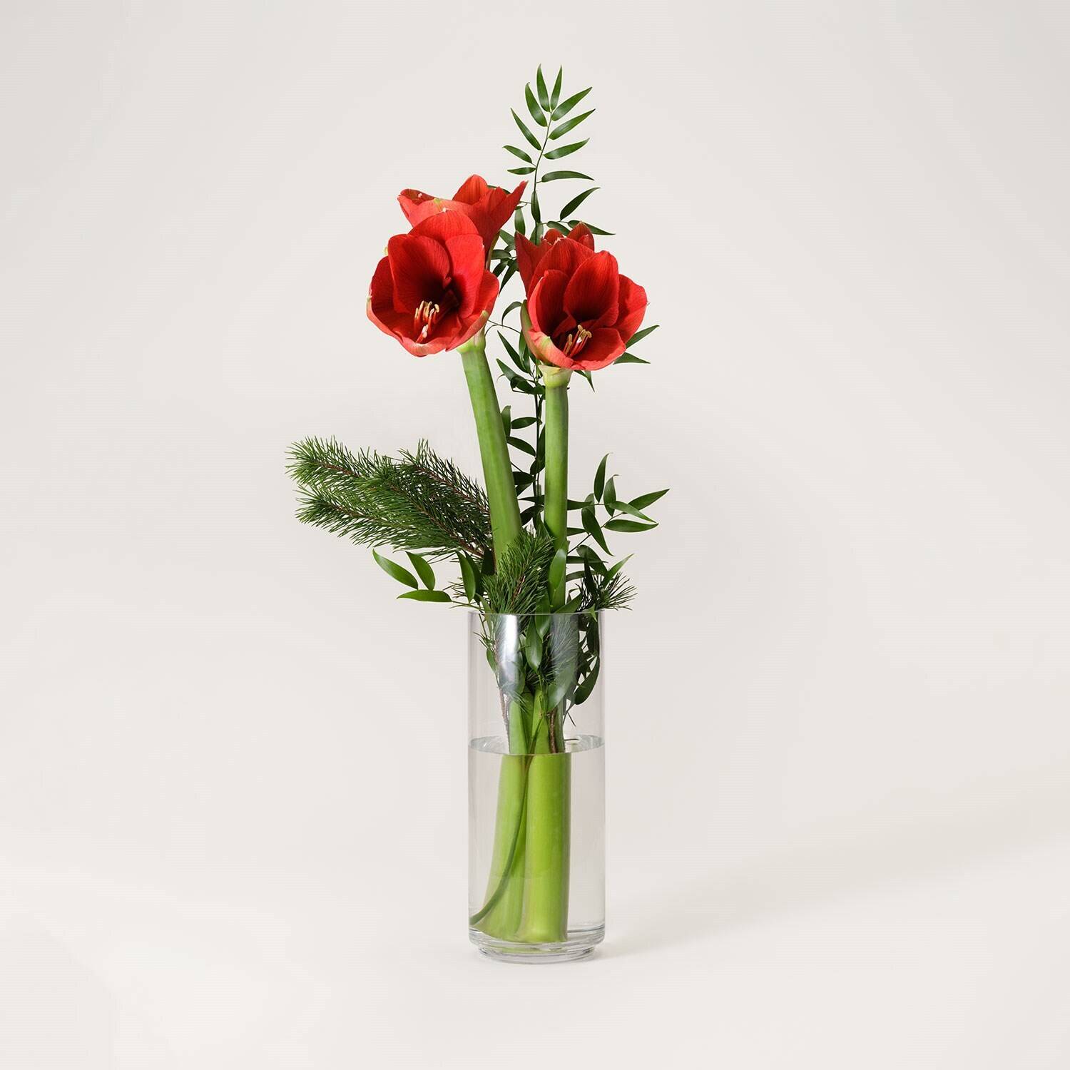 Blume, Blumen-Arrangement, Rose, Krug, Töpferei, Blume, Blumen-Arrangement, Rose, Krug, Töpferei, Blume, Blumen-Arrangement, Rose, Krug, Töpferei, Blume, Blumen-Arrangement, Rose, Krug, Töpferei, Blume, Blumen-Arrangement, Rose, Krug, Töpferei