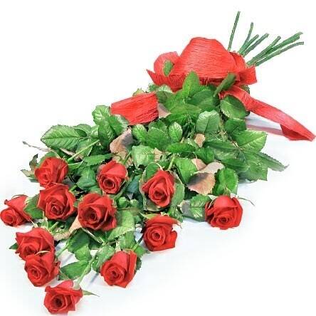 Blume, Rose, Blumen-Arrangement, Blumenstrauß, Blatt, Blume, Rose, Blumen-Arrangement, Blumenstrauß, Blatt, Blume, Rose, Blumen-Arrangement, Blumenstrauß, Blatt, Blume, Rose, Blumen-Arrangement, Blumenstrauß, Blatt