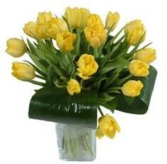 Blume, Blumen-Arrangement, Blumenstrauß, Topfpflanze, Krug, Blume, Blumen-Arrangement, Blumenstrauß, Topfpflanze, Krug, Blume, Blumen-Arrangement, Blumenstrauß, Topfpflanze, Krug, Blume, Blumen-Arrangement, Blumenstrauß, Topfpflanze, Krug