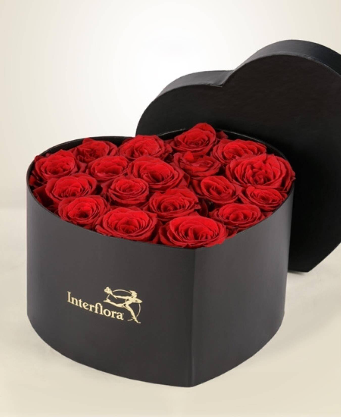 Blume, Pflanze, Rose, Geburtstagstorte, Essen, Blume, Pflanze, Rose, Geburtstagstorte, Essen, Blume, Pflanze, Rose, Geburtstagstorte, Essen, Blume, Pflanze, Rose, Geburtstagstorte, Essen, Blume, Pflanze, Rose, Geburtstagstorte, Essen, Blume, Pflanze, Rose